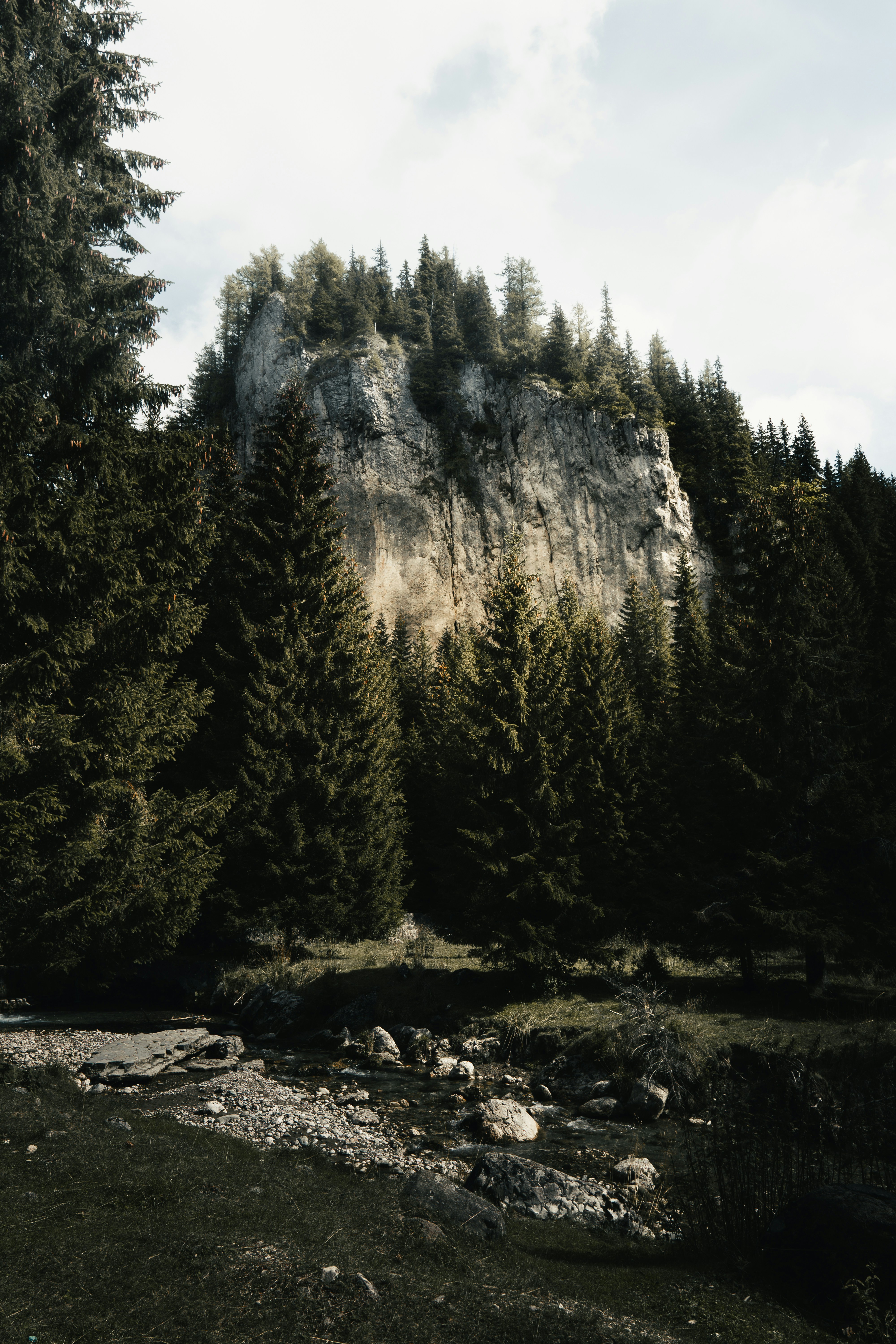 Photo by androwv
