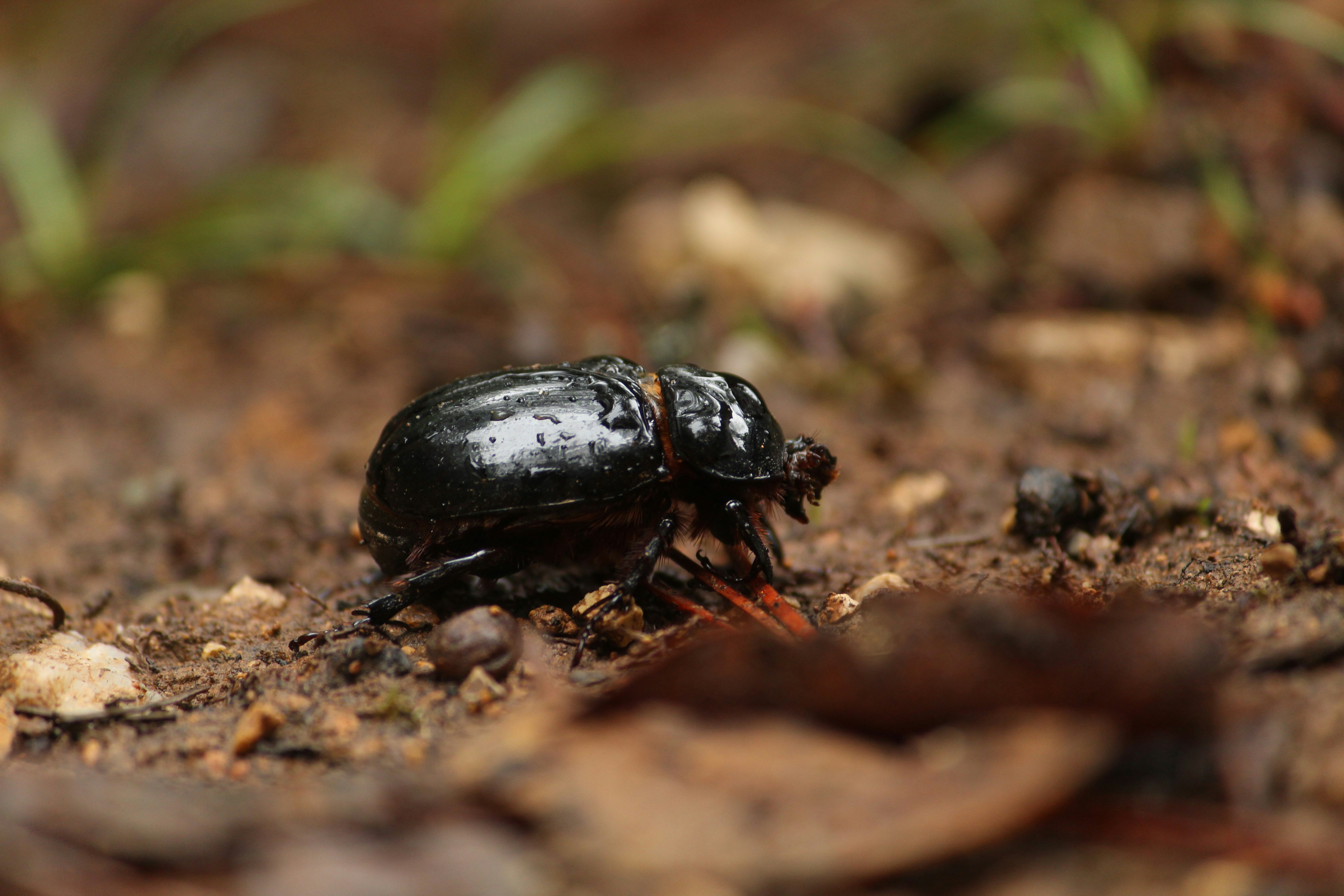 The Economic Ripple Effects (image credits: unsplash)