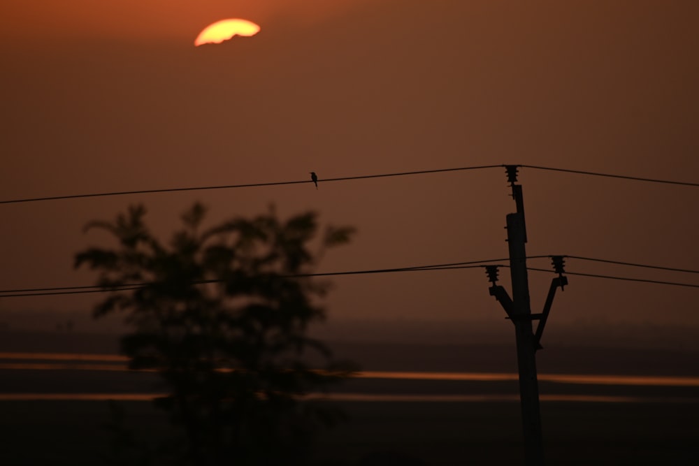 a sunset behind a power line