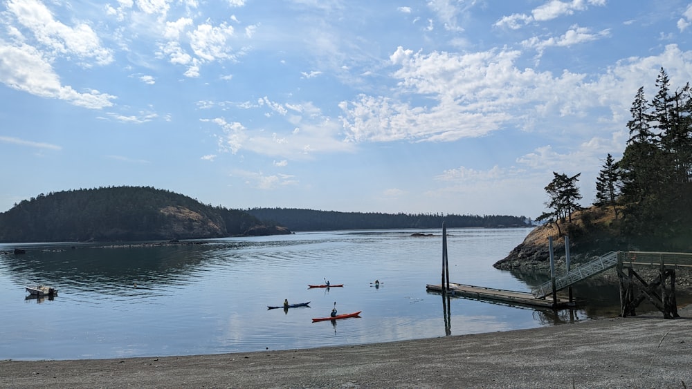 a body of water with boats and trees around it