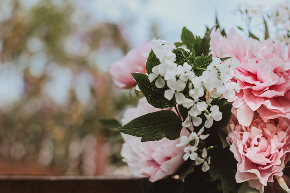 a close up of flowers