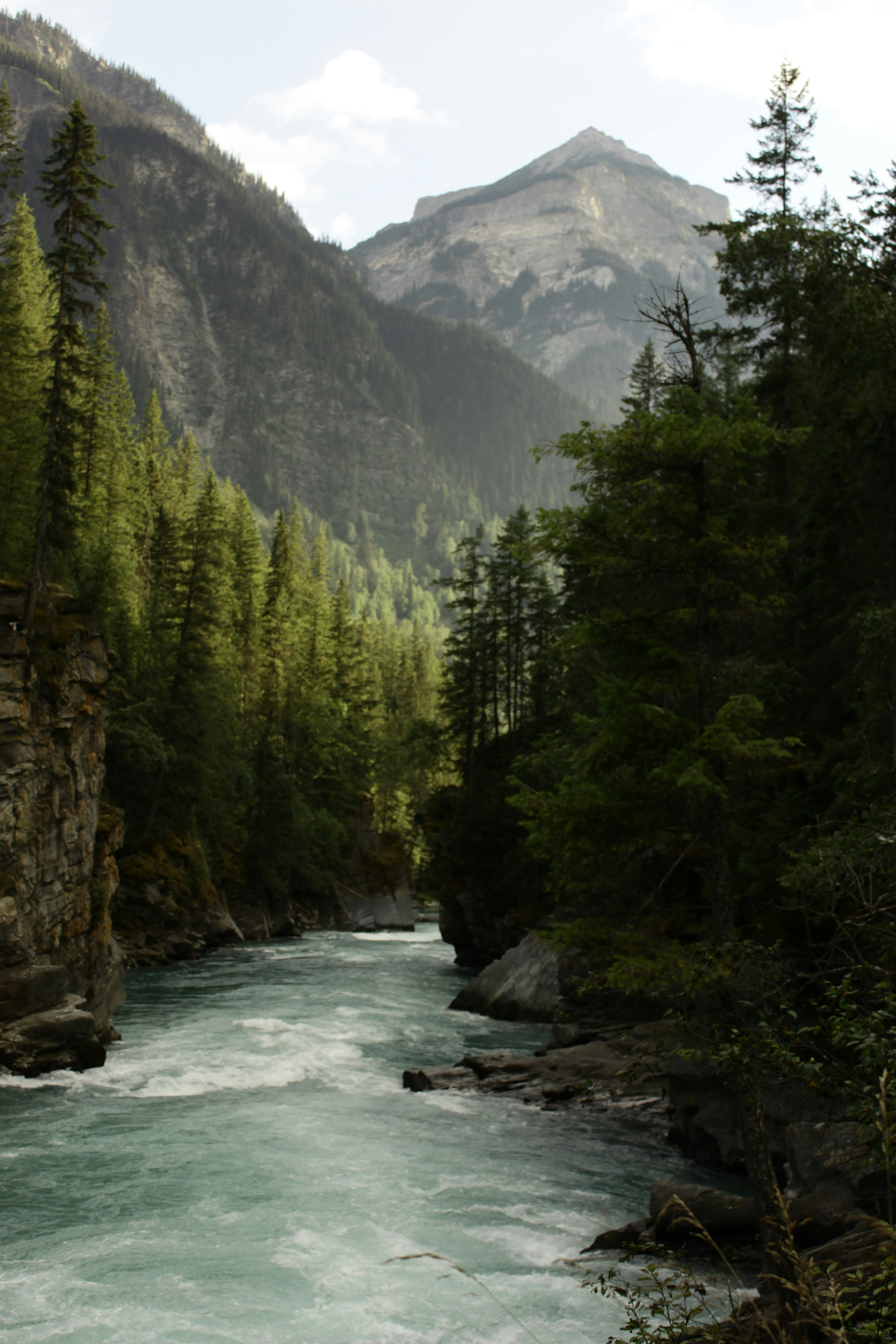 Photo by dcanadianphotographer