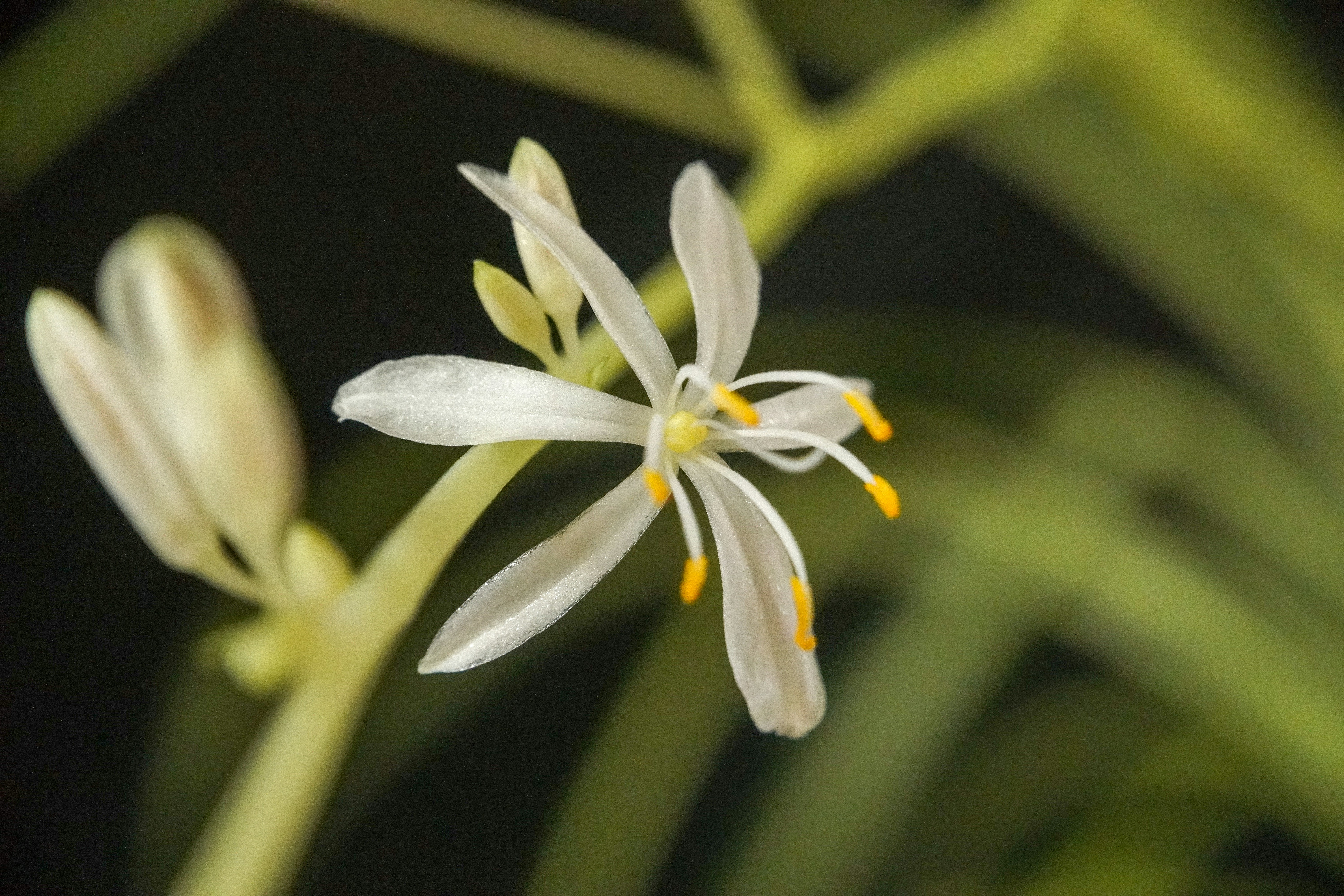 Photo by sabrinarizzo