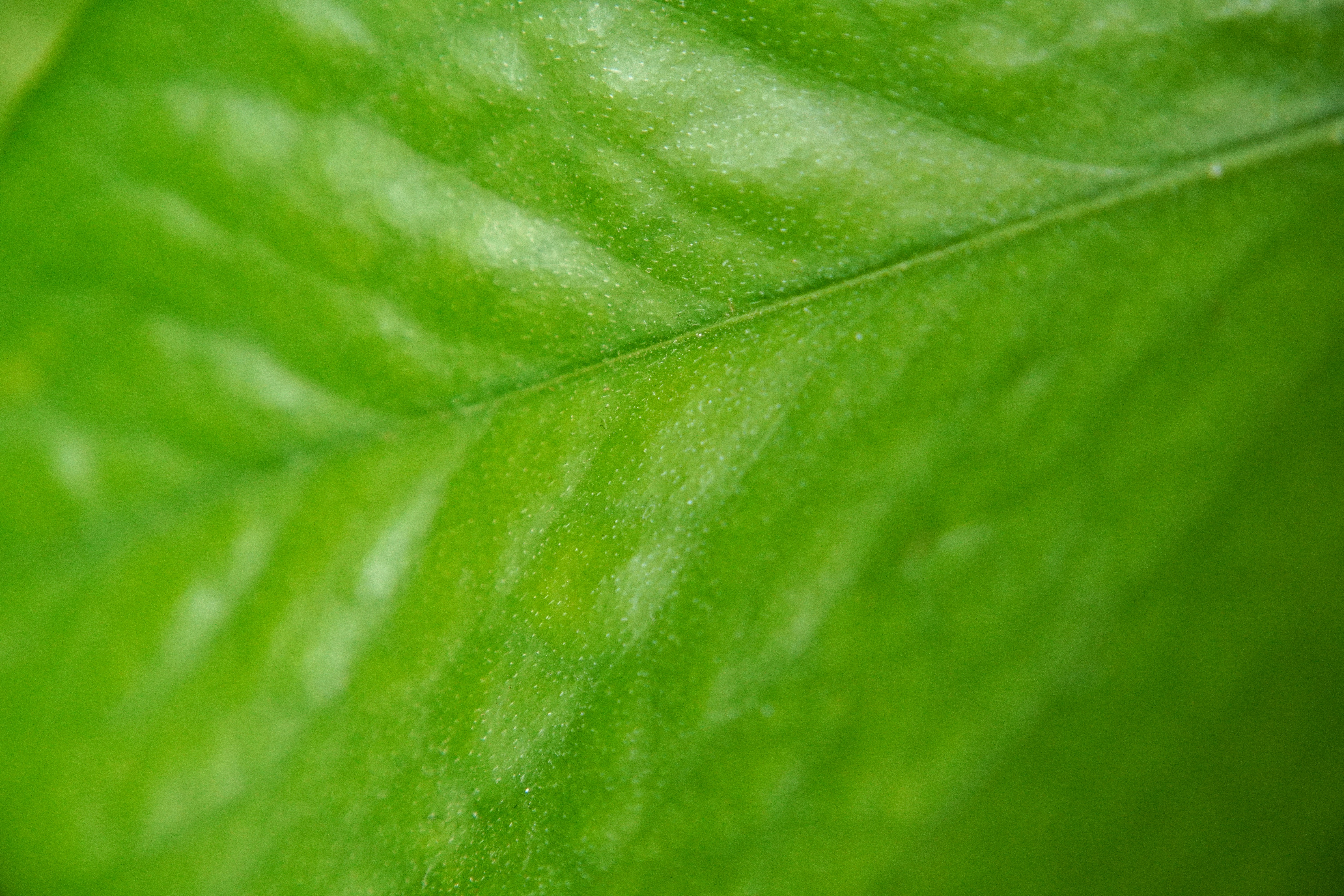 Photo by sabrinarizzo