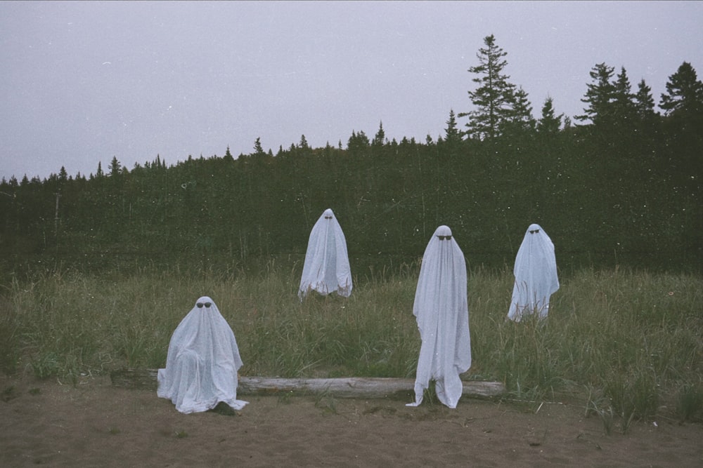 a group of white dresses in a field