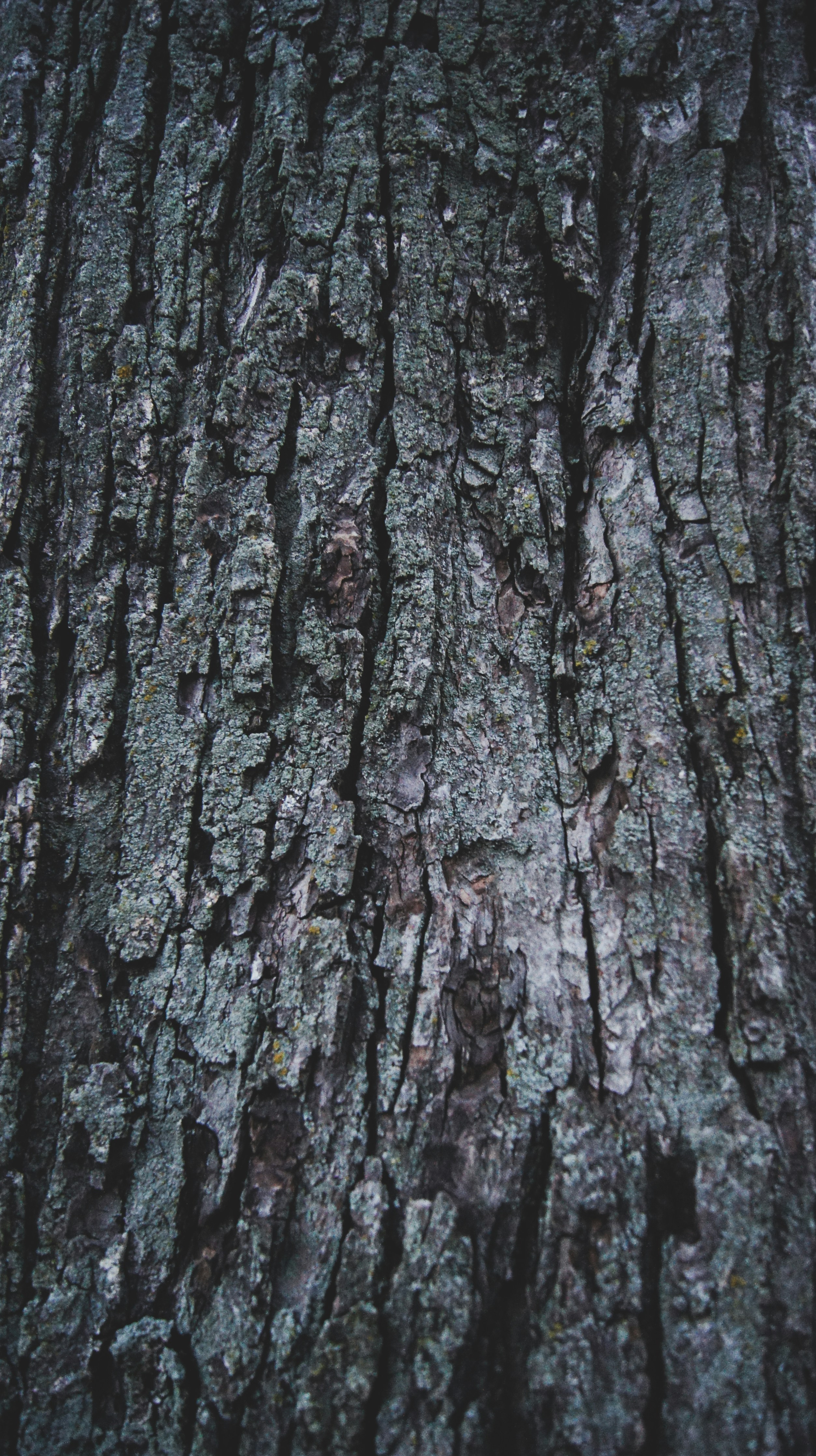 Photo by sabrinarizzo