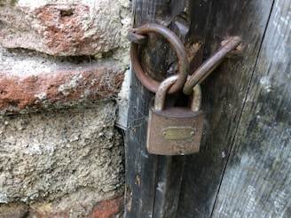 a door handle on a wooden door