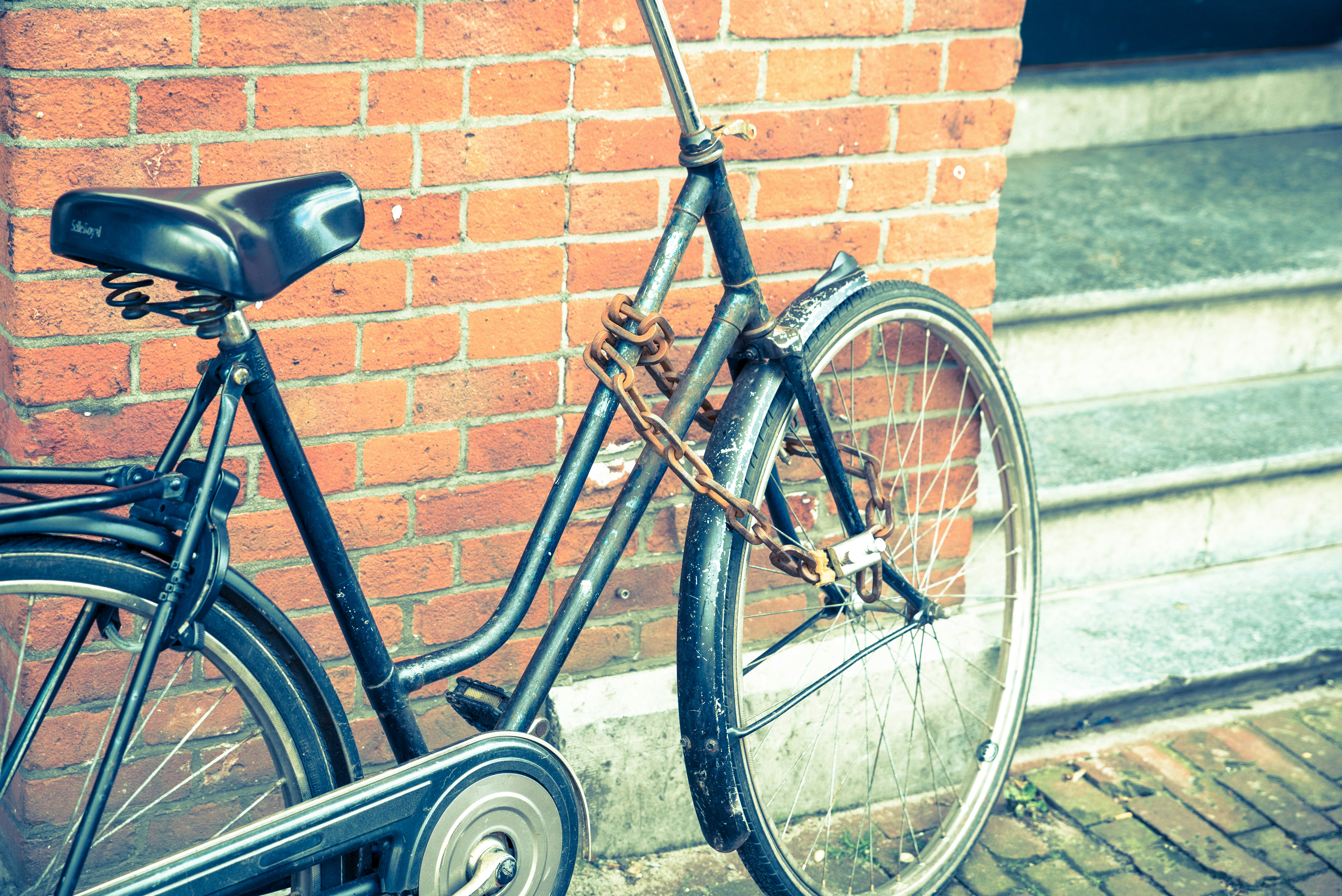 Photo by meringuedesigns