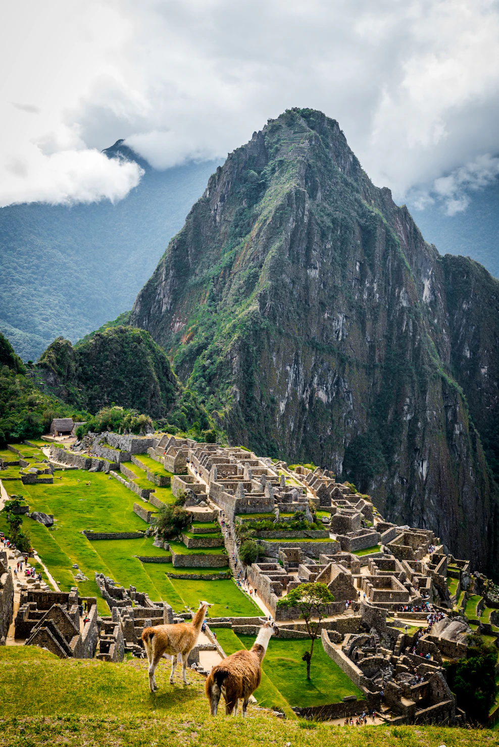 Machu Picchu citadel