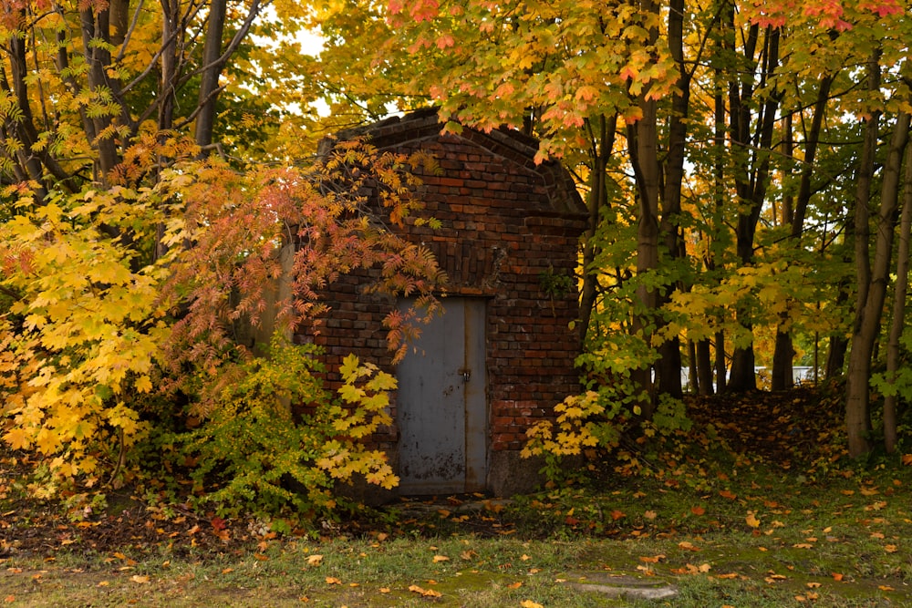 a brick building in the woods