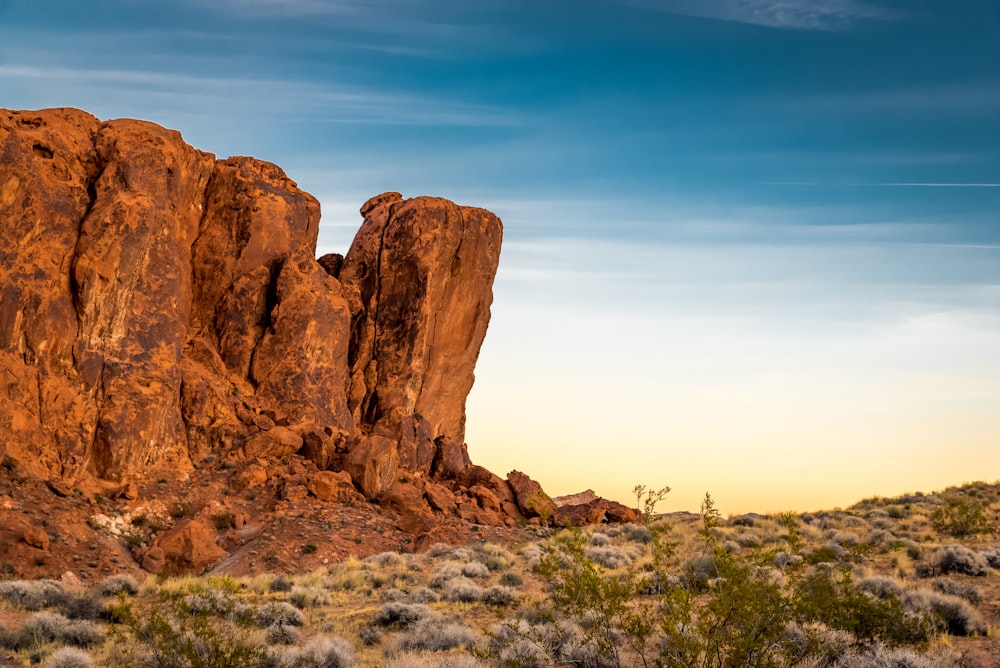 a rocky cliff with trees