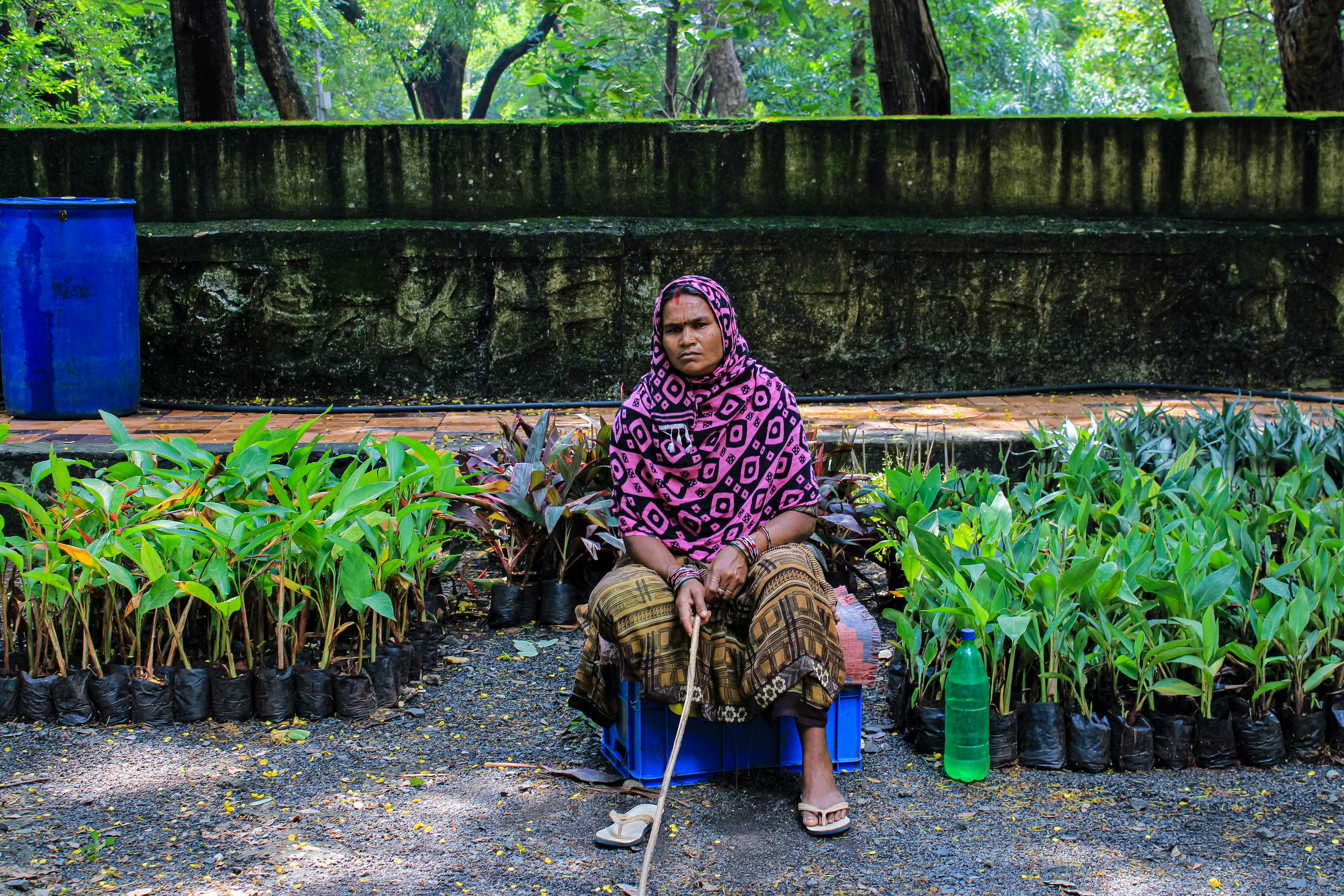 Imágenes de Walkers Nagpur Descarga imágenes gratuitas en Unsplash