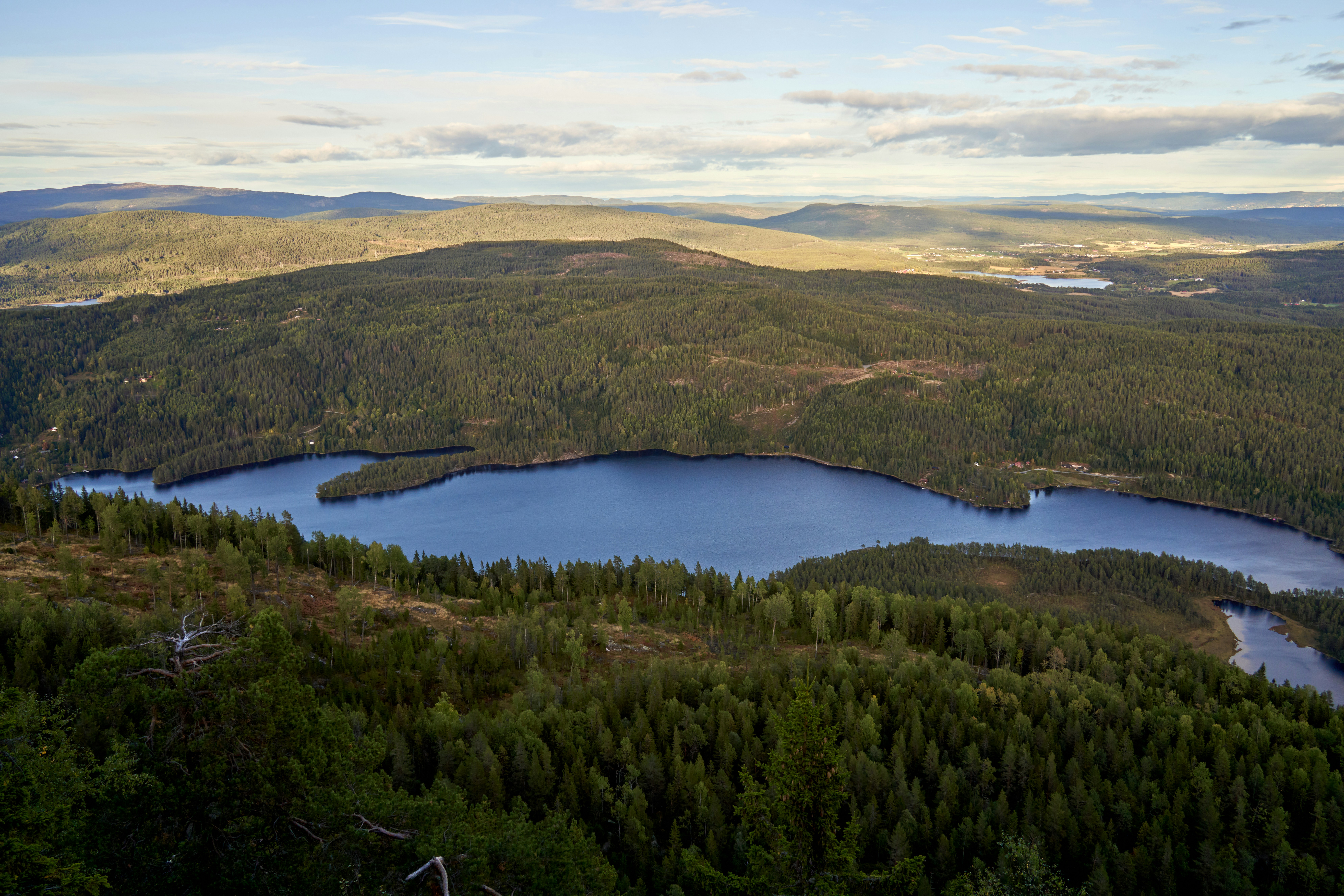 Photo by davotibarna