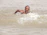 A determined athlete swimming powerfully through clear blue water during training.