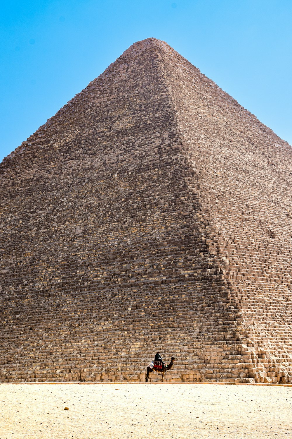 a person riding a camel in front of a pyramid with Great Pyramid of Giza in the background
