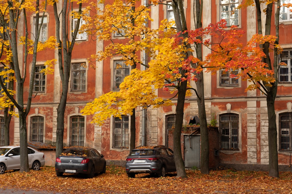 cars parked in front of a building