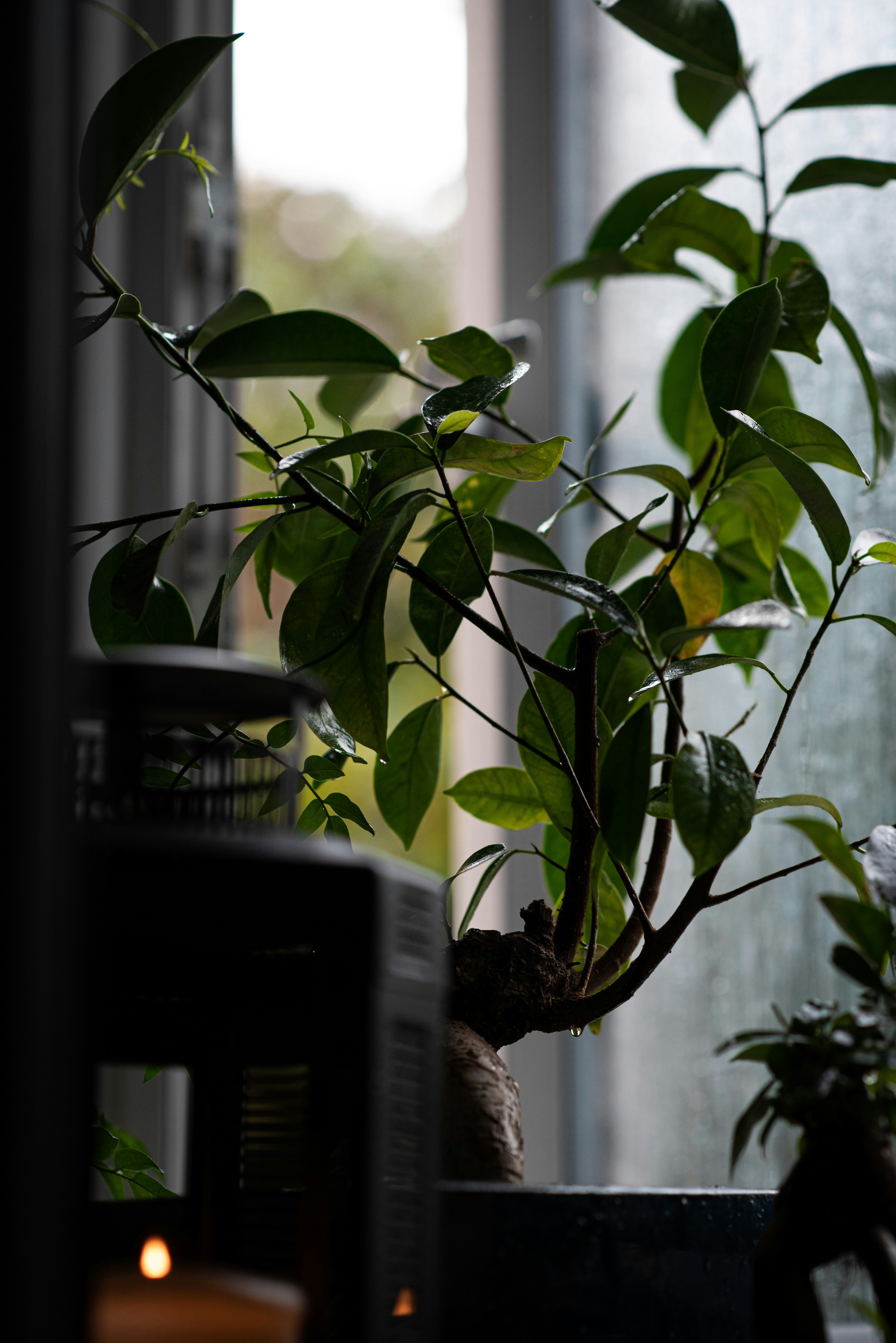 Photo by ellyendeavours