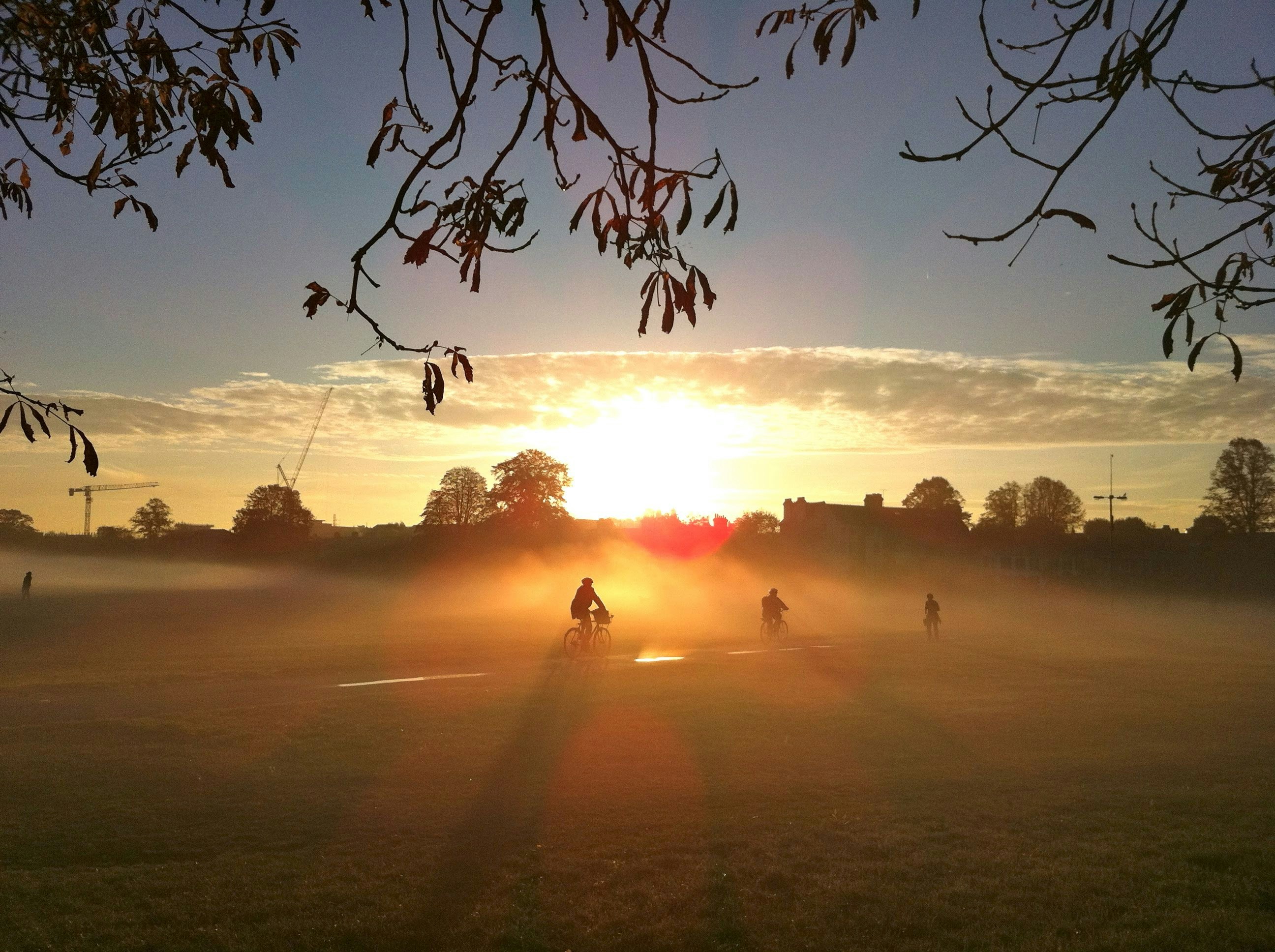 a group of people running in a field with a sunset in the background