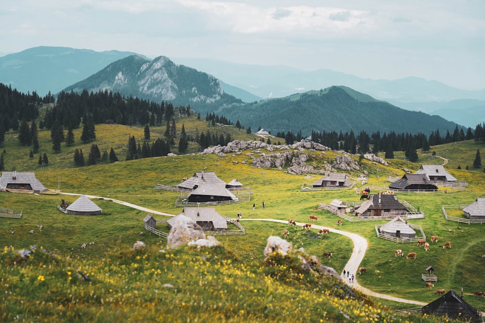 Eine Landschaft mit Gebäuden und Bäumen