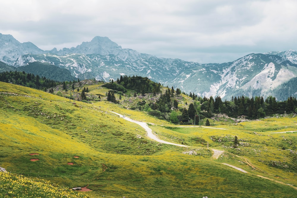 a road in a valley with mountains in the background