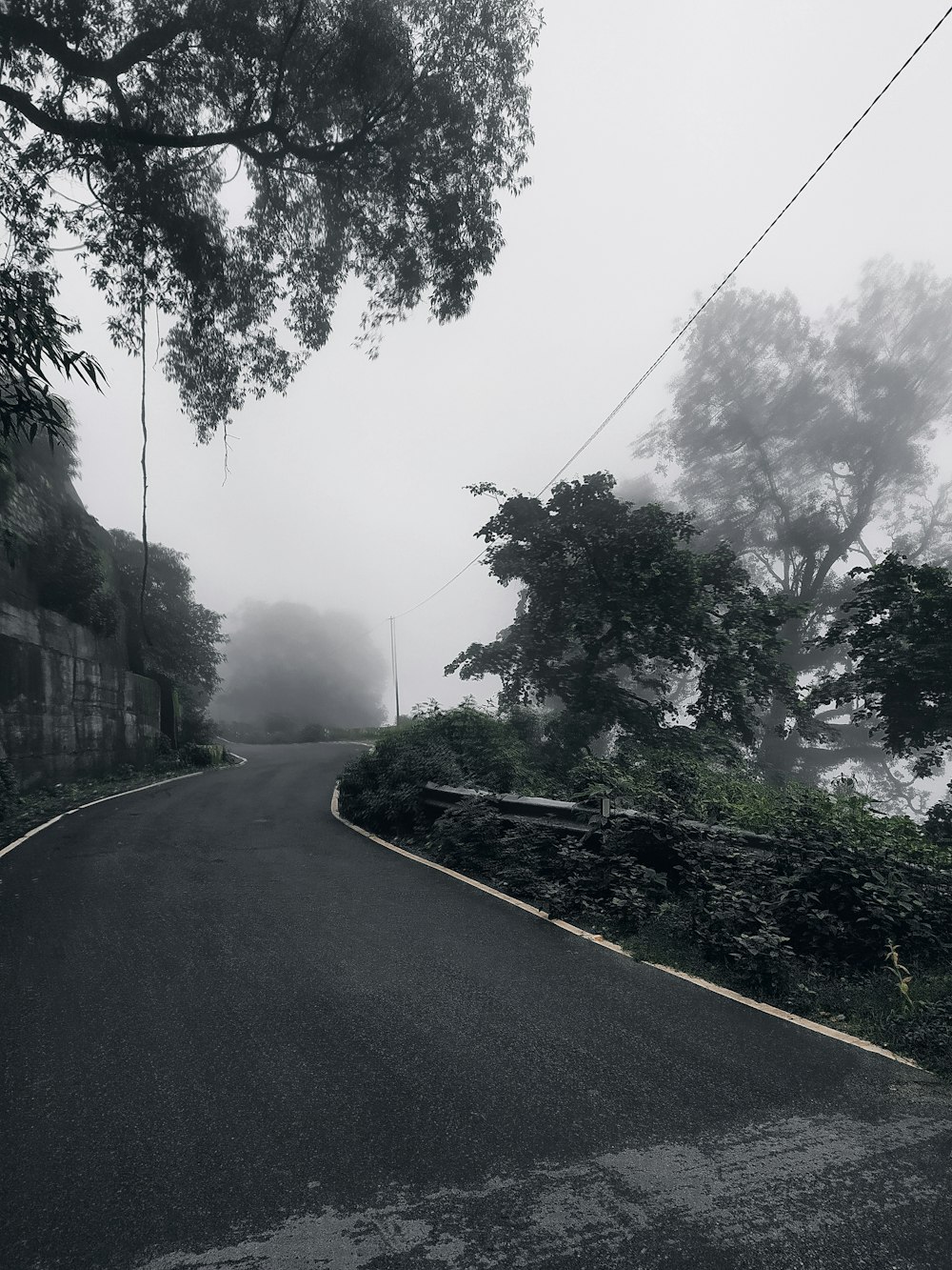 a road with trees on the side