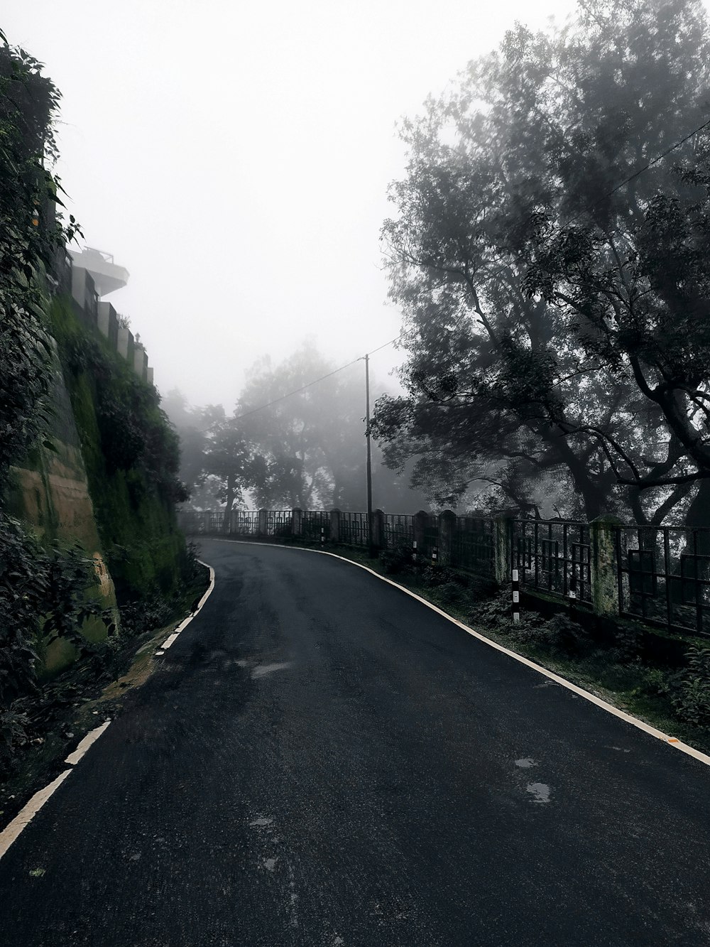 a road with trees on the side