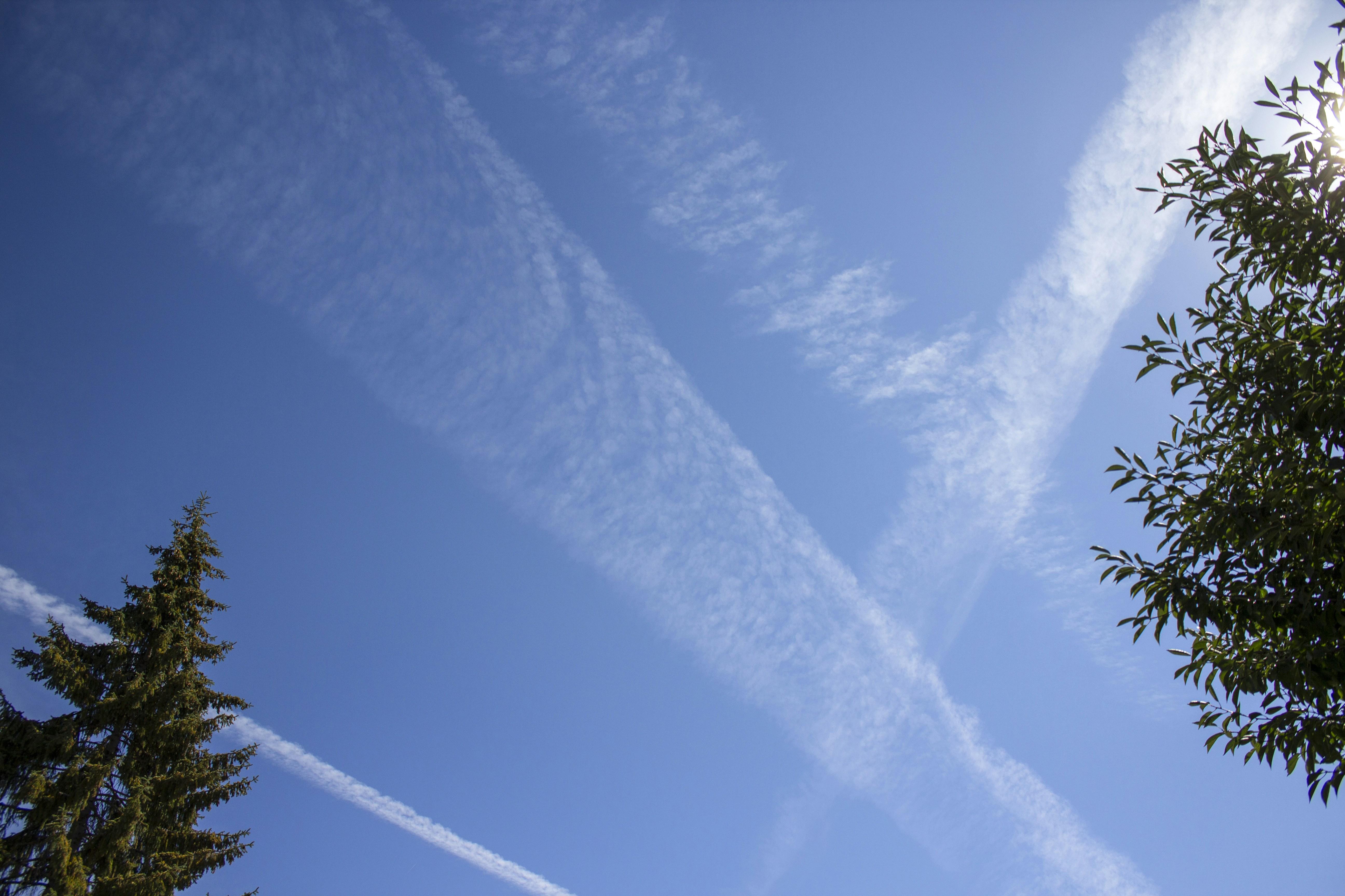 A blue sky with clouds photo – Free Plant Image on Unsplash