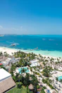 a beach with palm trees and a body of water