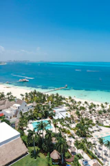 a beach with palm trees and a body of water