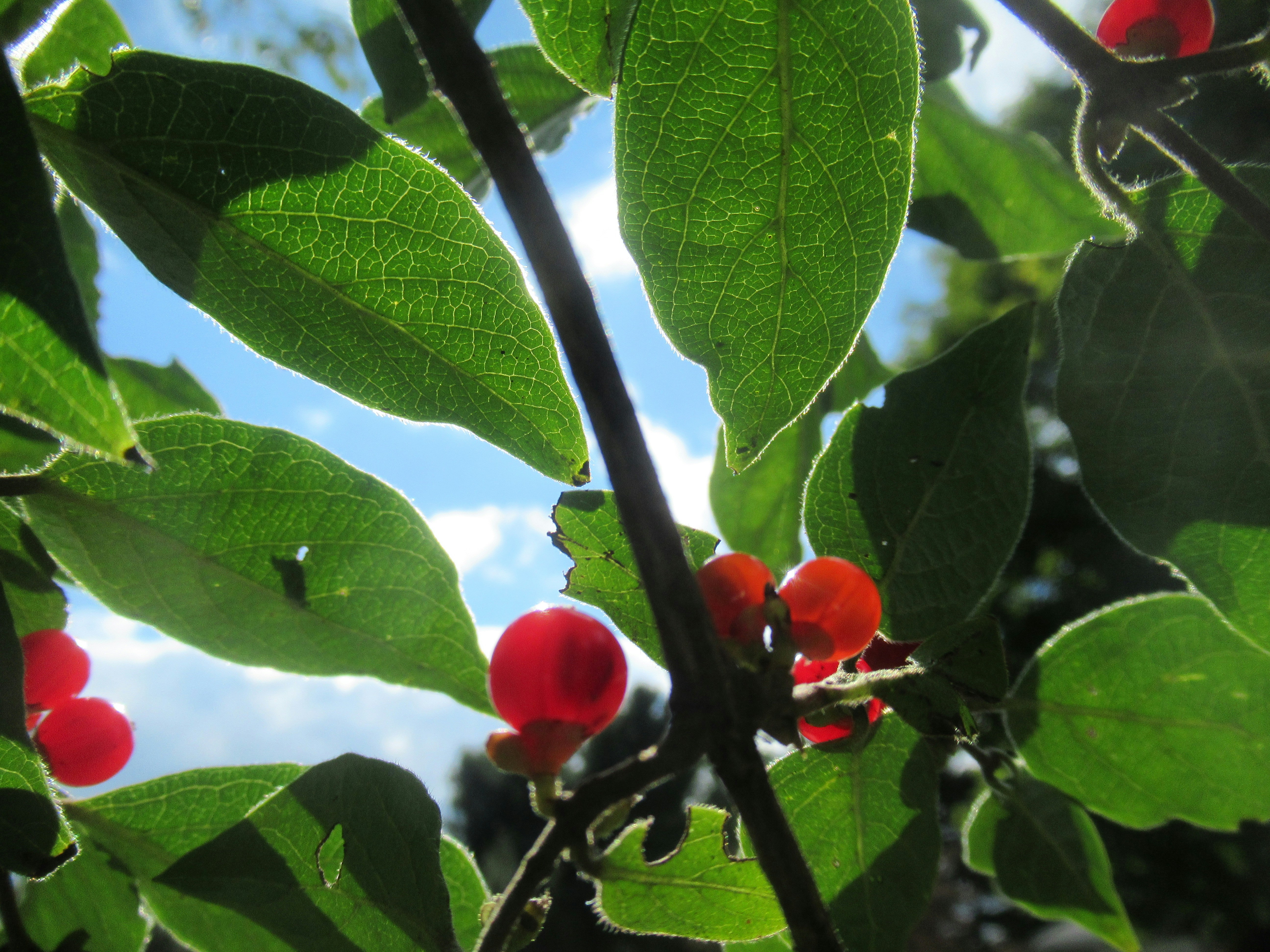 Photo by standerimages