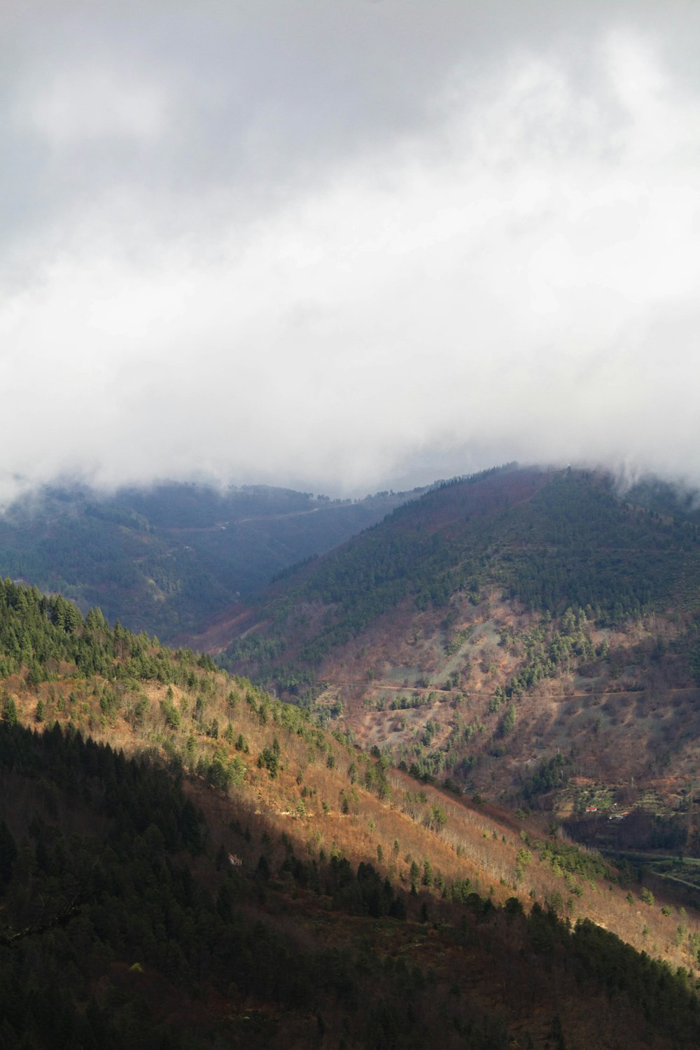 a landscape with hills and trees