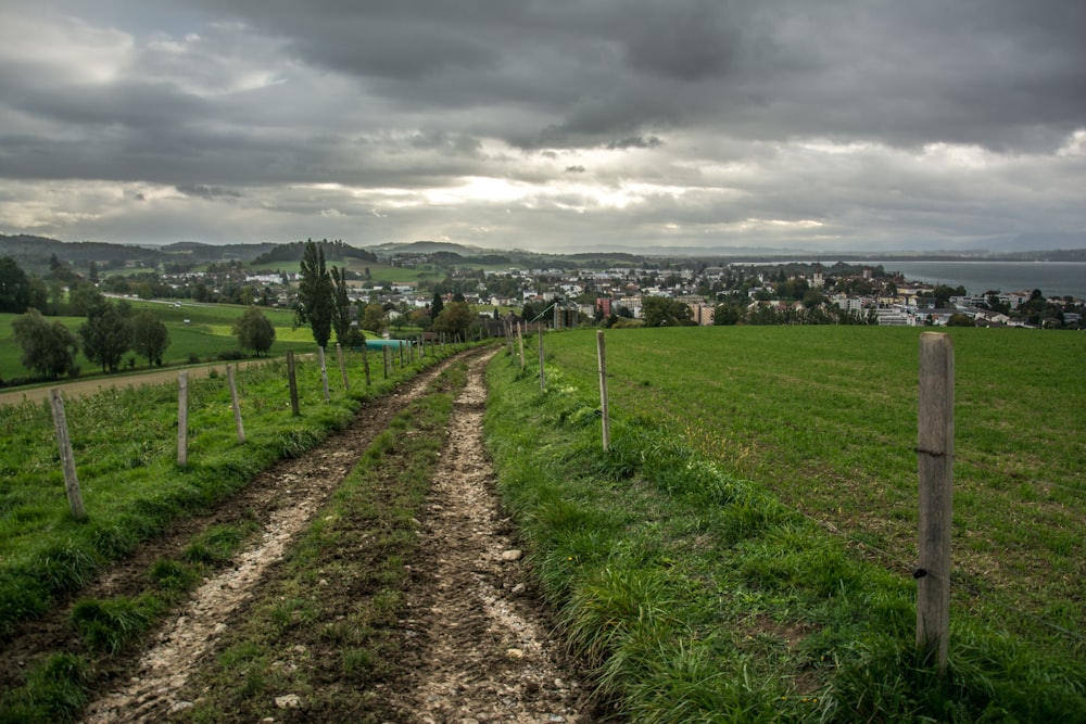 a dirt road with grass and trees on either side of it