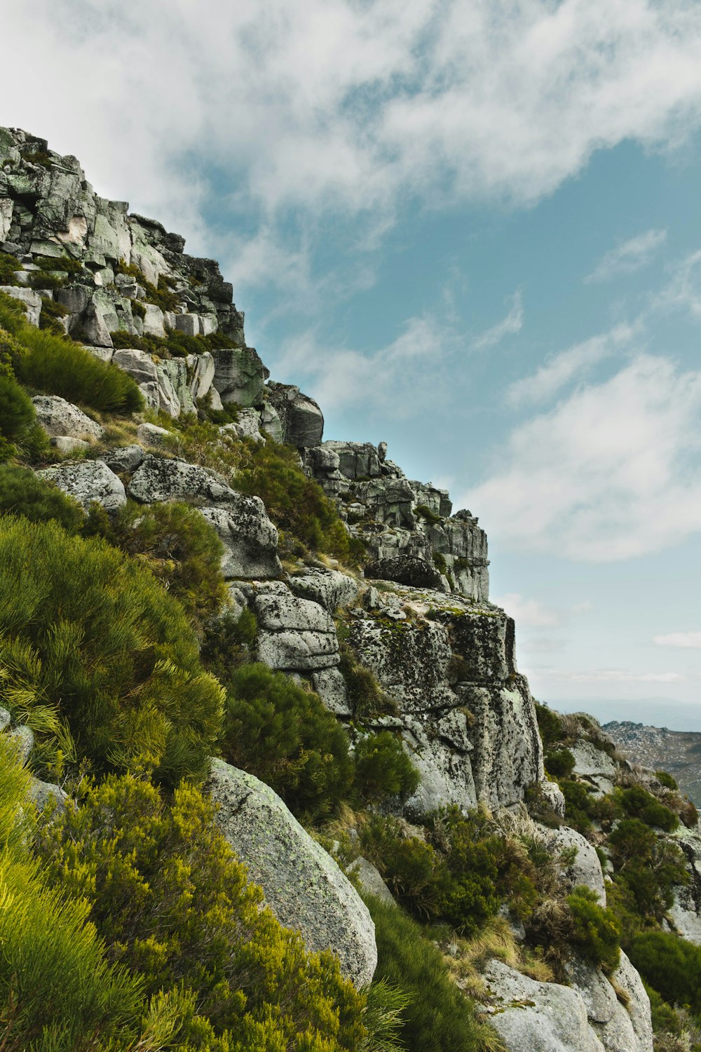 a rocky cliff with trees and bushes