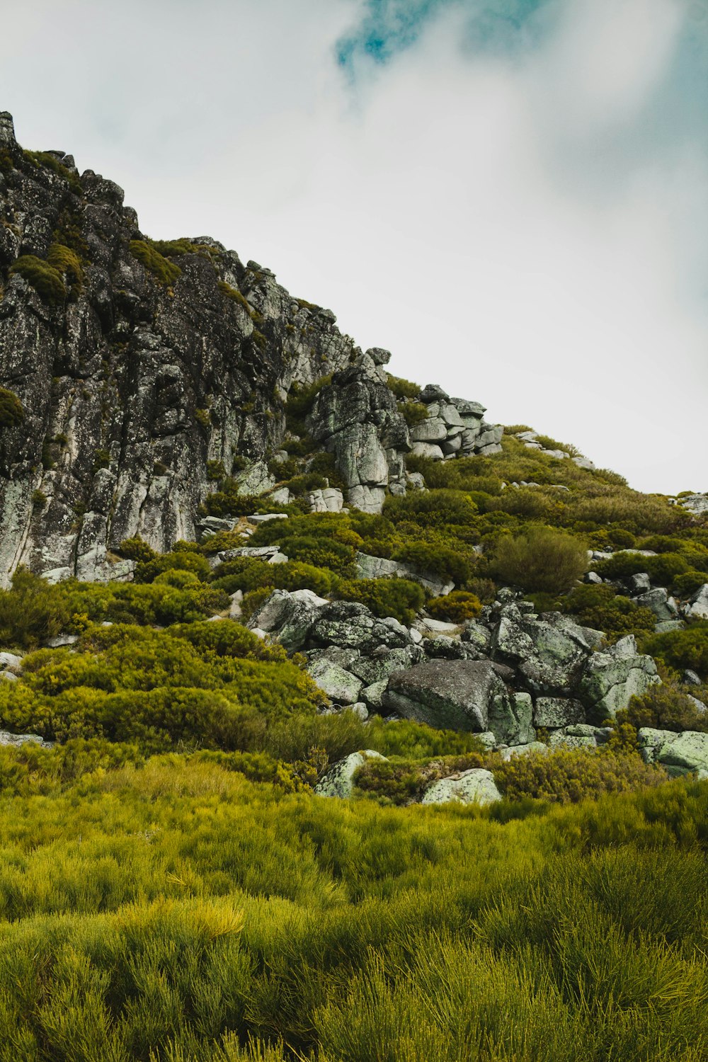 a rocky mountain with grass and trees