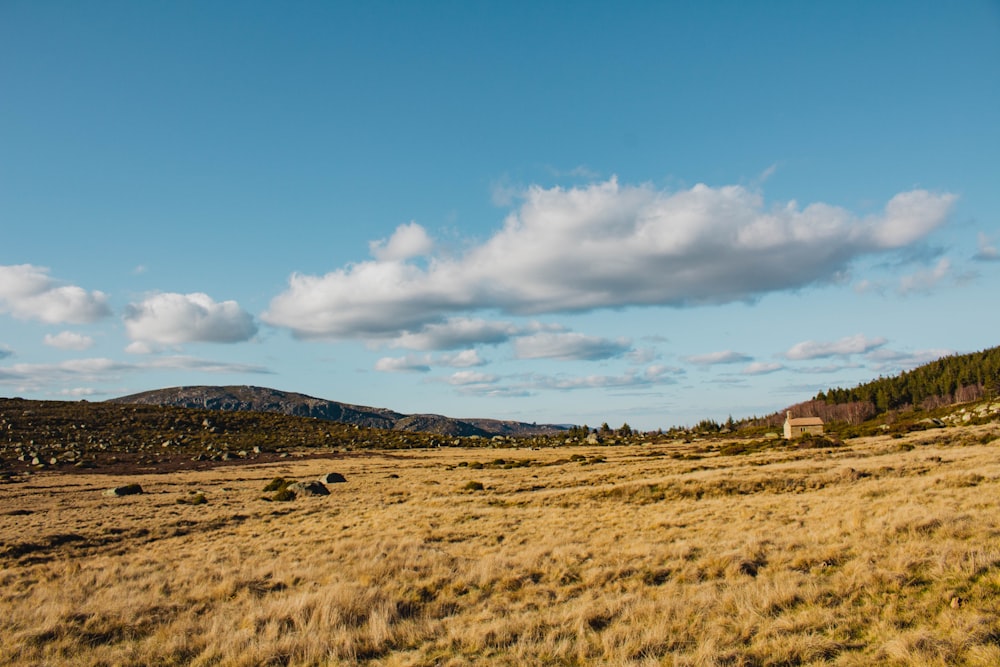 a grassy field with a building in the distance