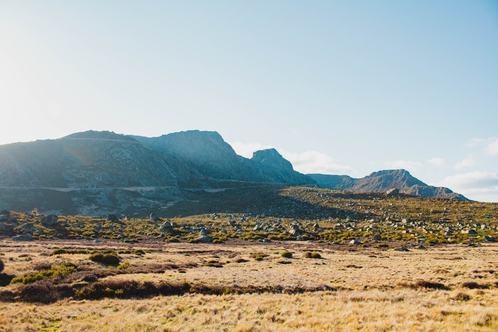 a landscape with mountains in the back