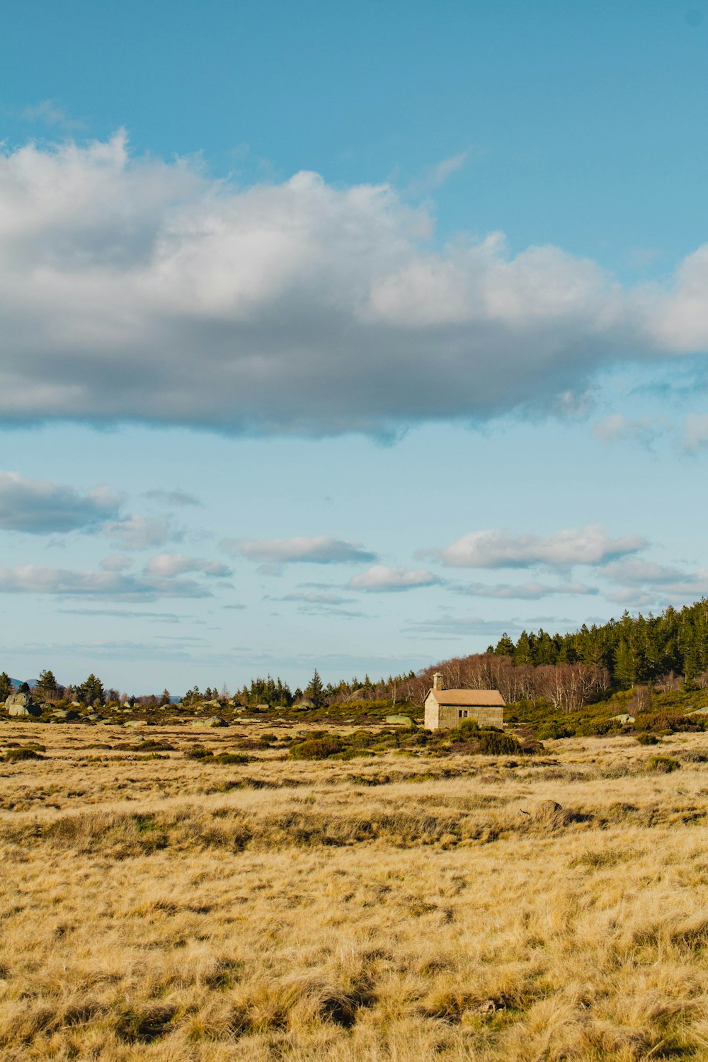 a house in a field