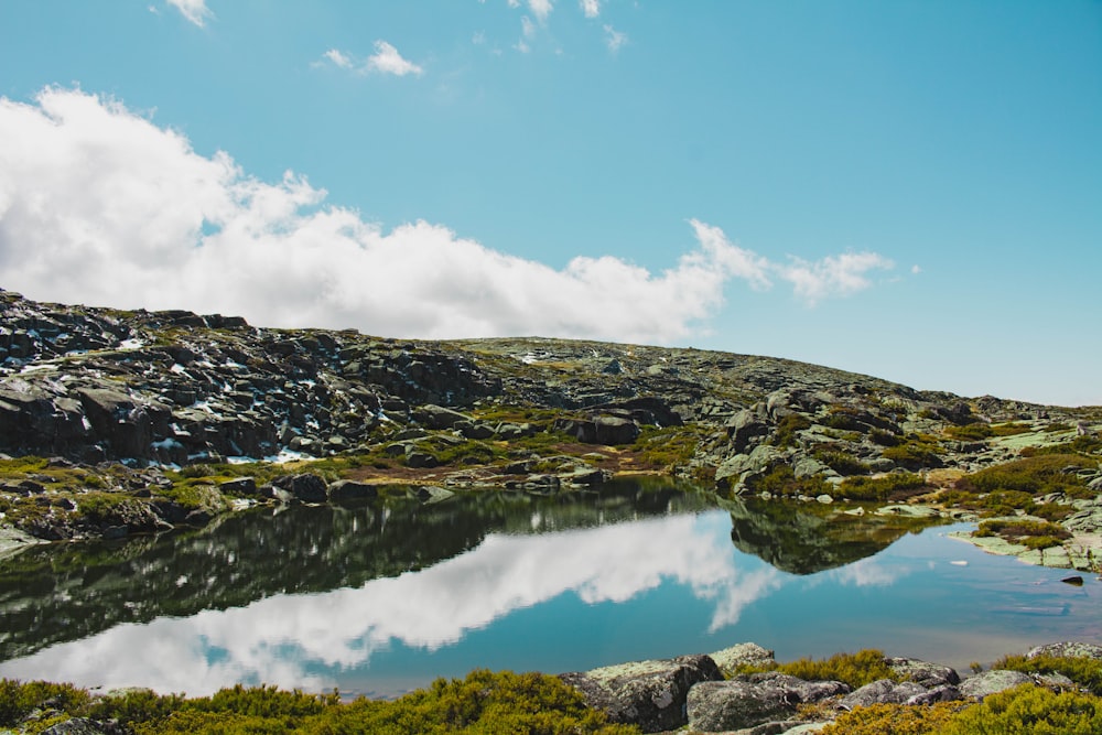 a body of water with rocks and plants around it