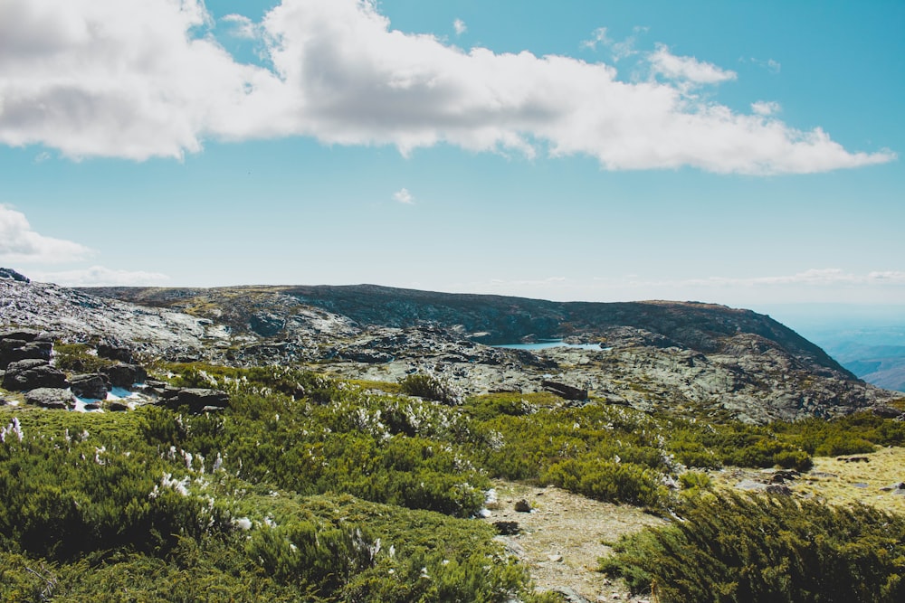 a landscape with hills and trees