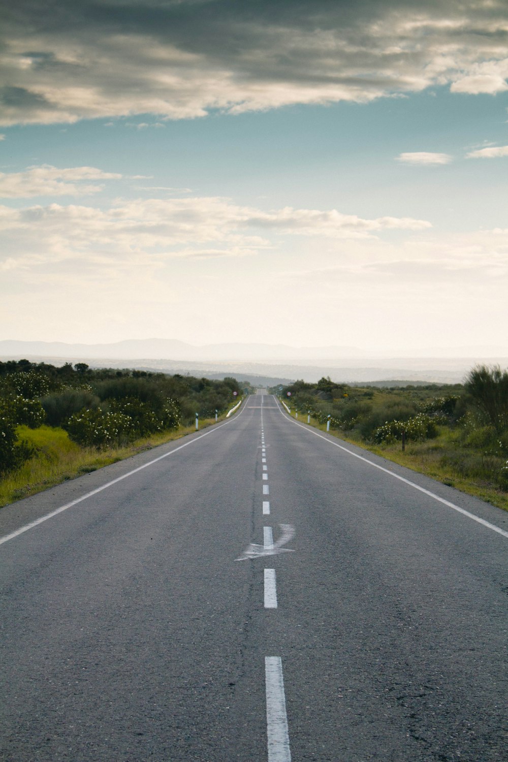 a road with trees on the side