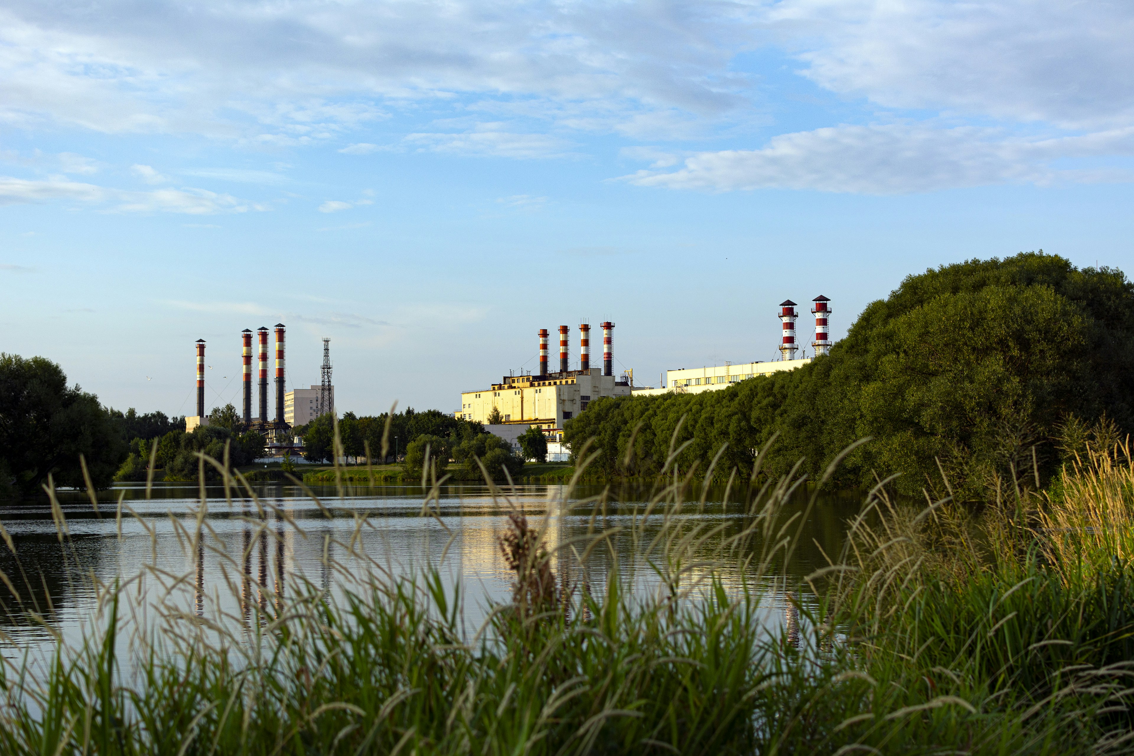 Water treatment ecosystem