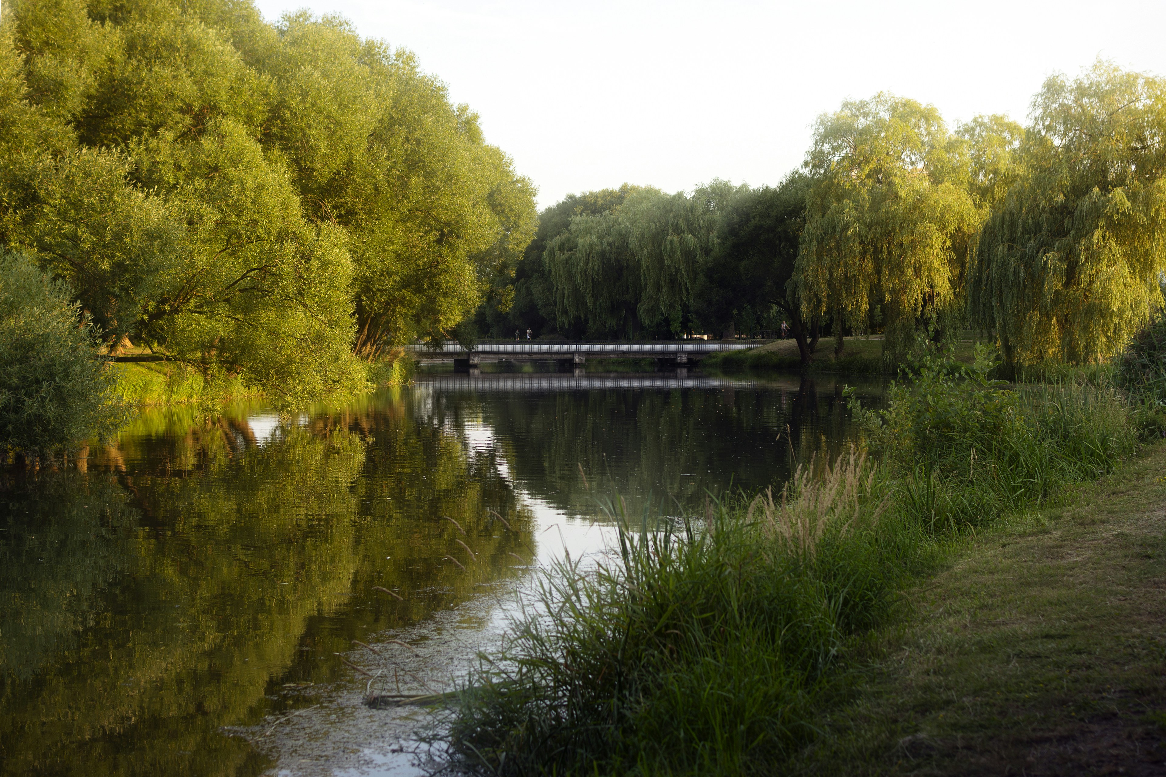 Photo by eadutskevich