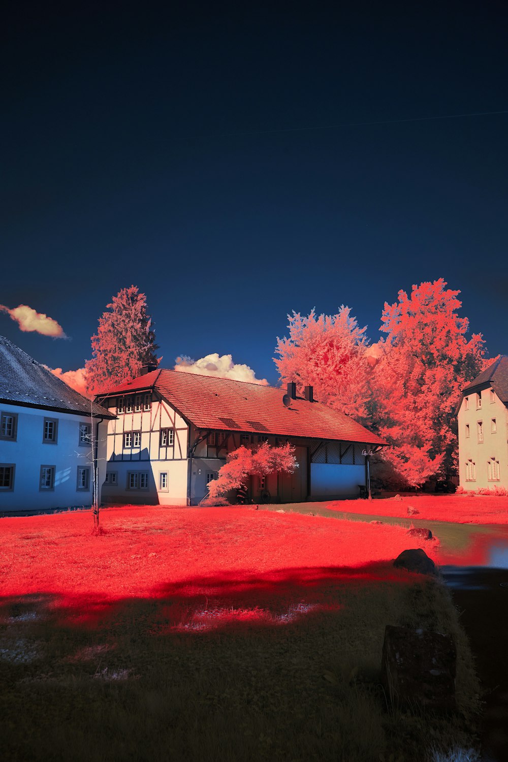 a row of houses with trees in the front