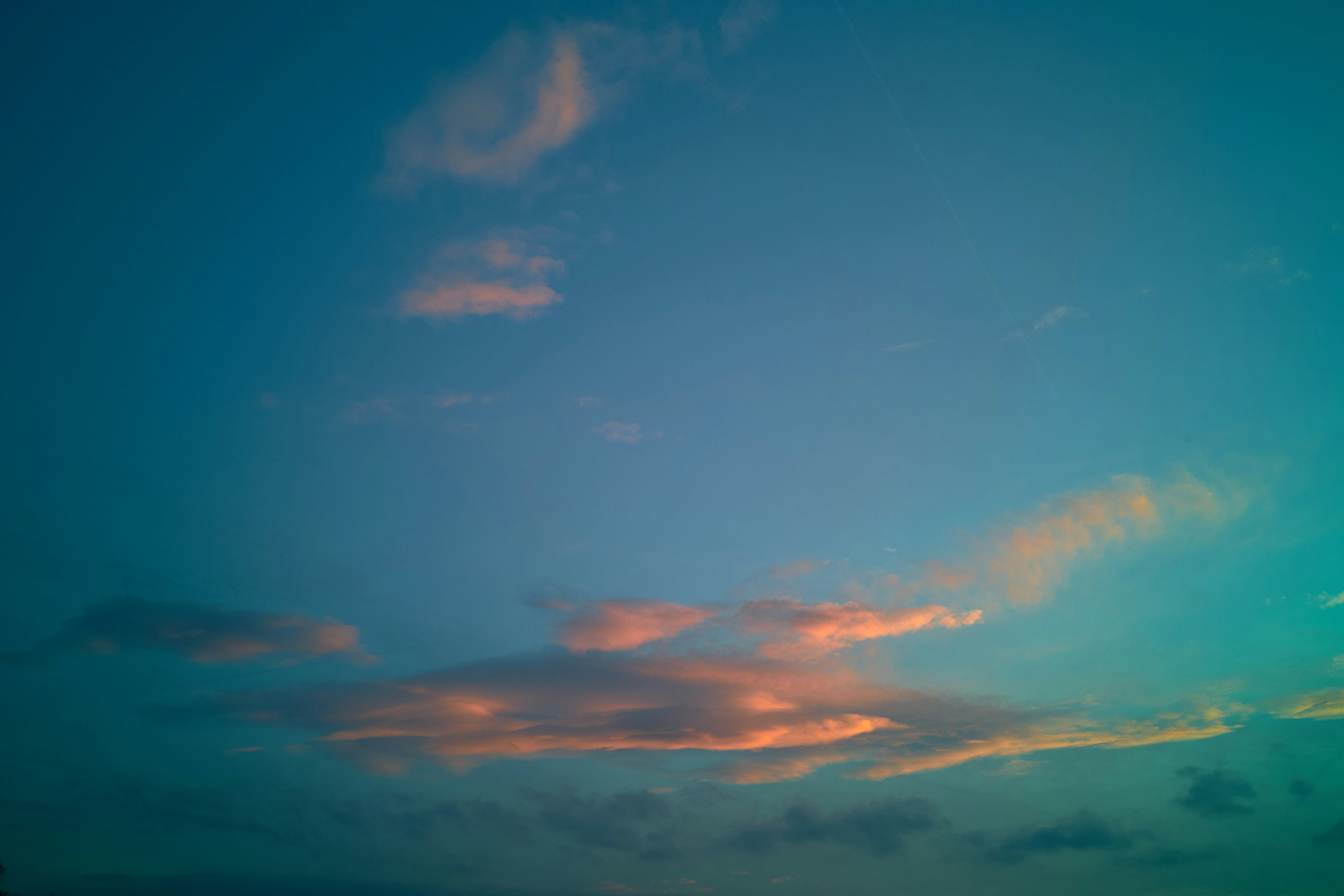 Photo by wolfgang_hasselmann