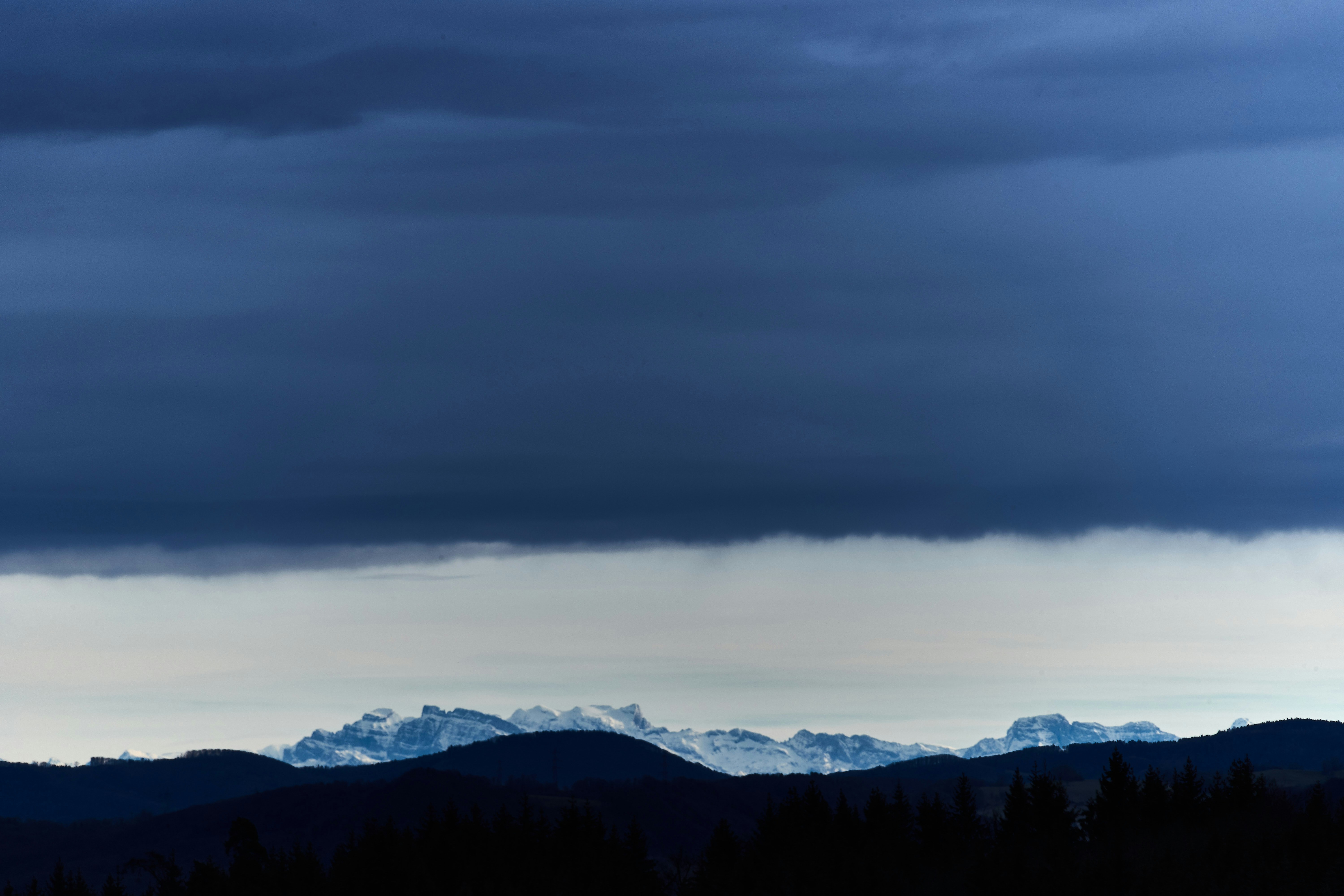 Photo by wolfgang_hasselmann