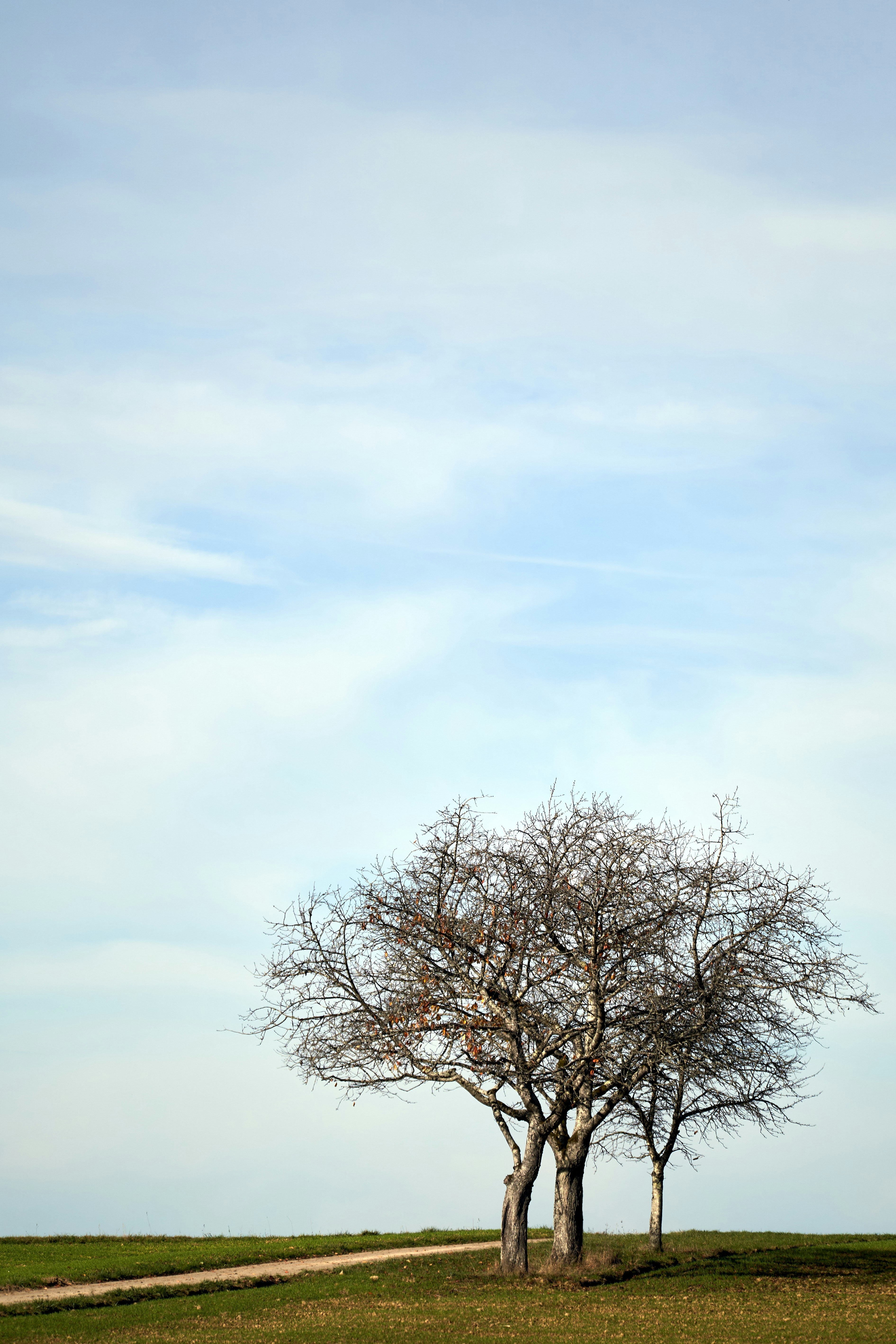 Photo by wolfgang_hasselmann