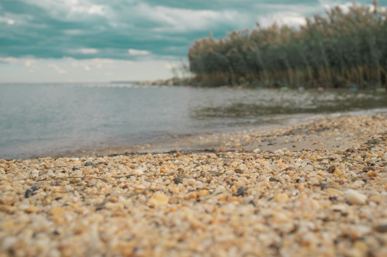 Chesapeake Bay: America's Largest Estuary