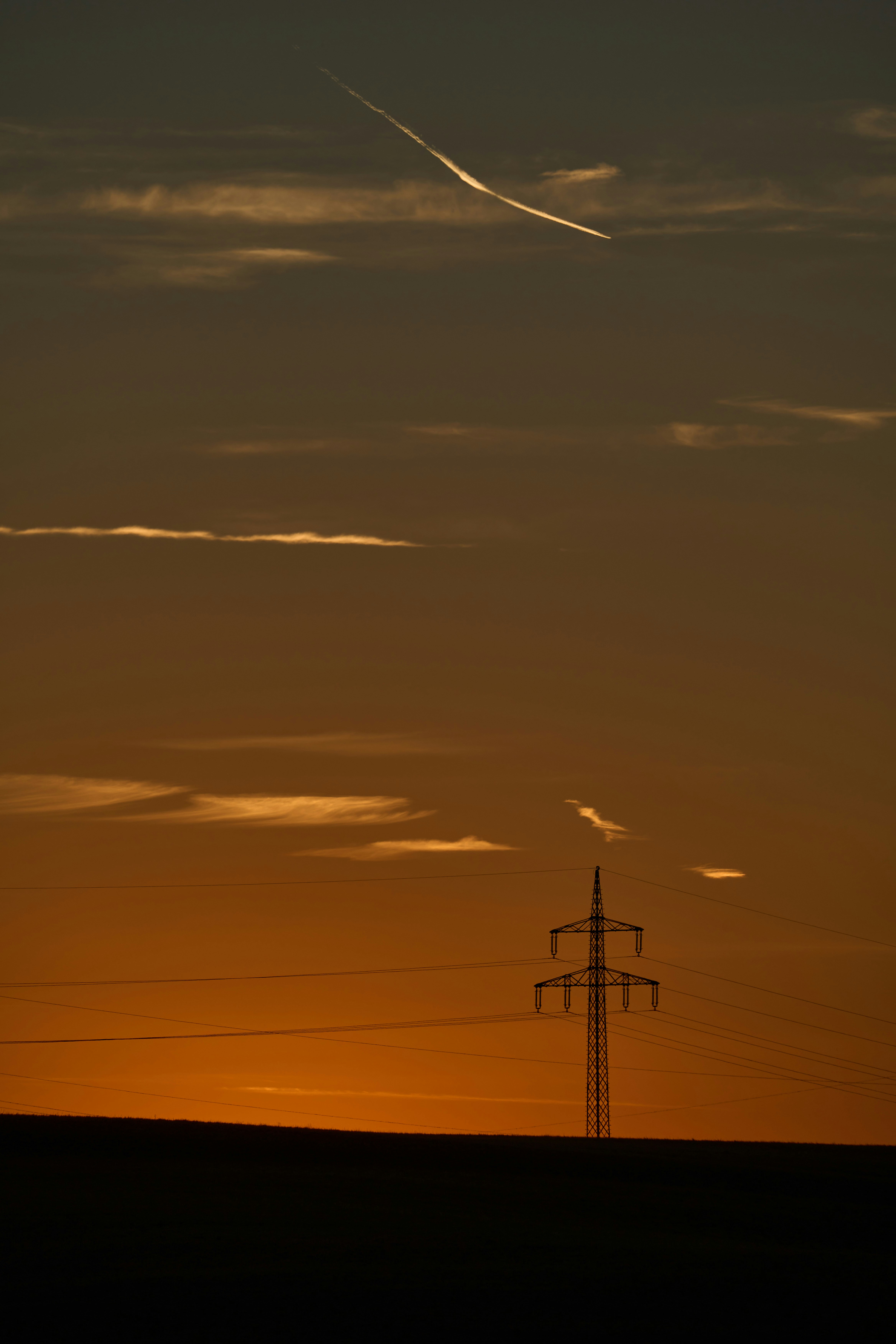 Photo by wolfgang_hasselmann