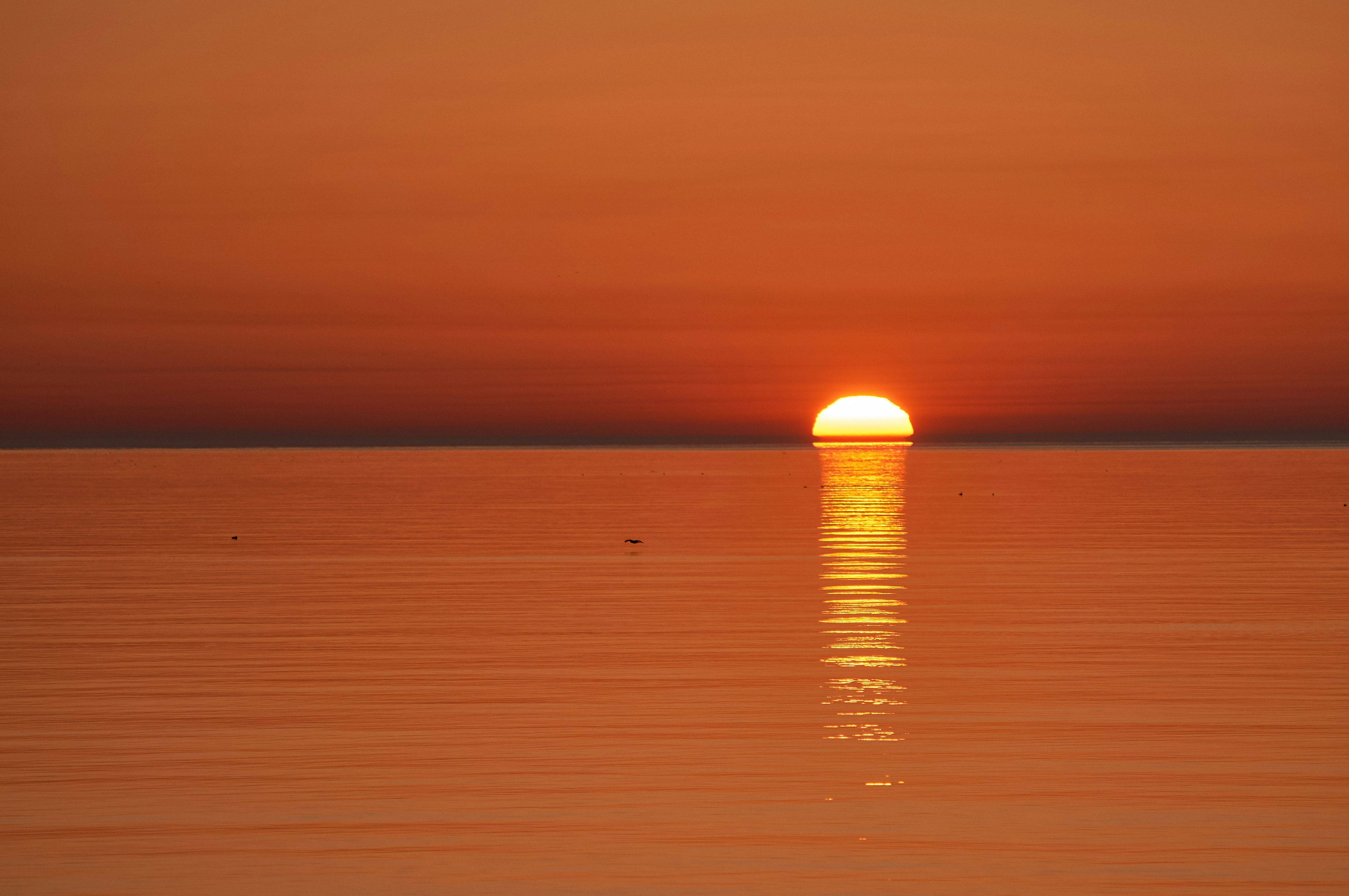 Photo by wolfgang_hasselmann