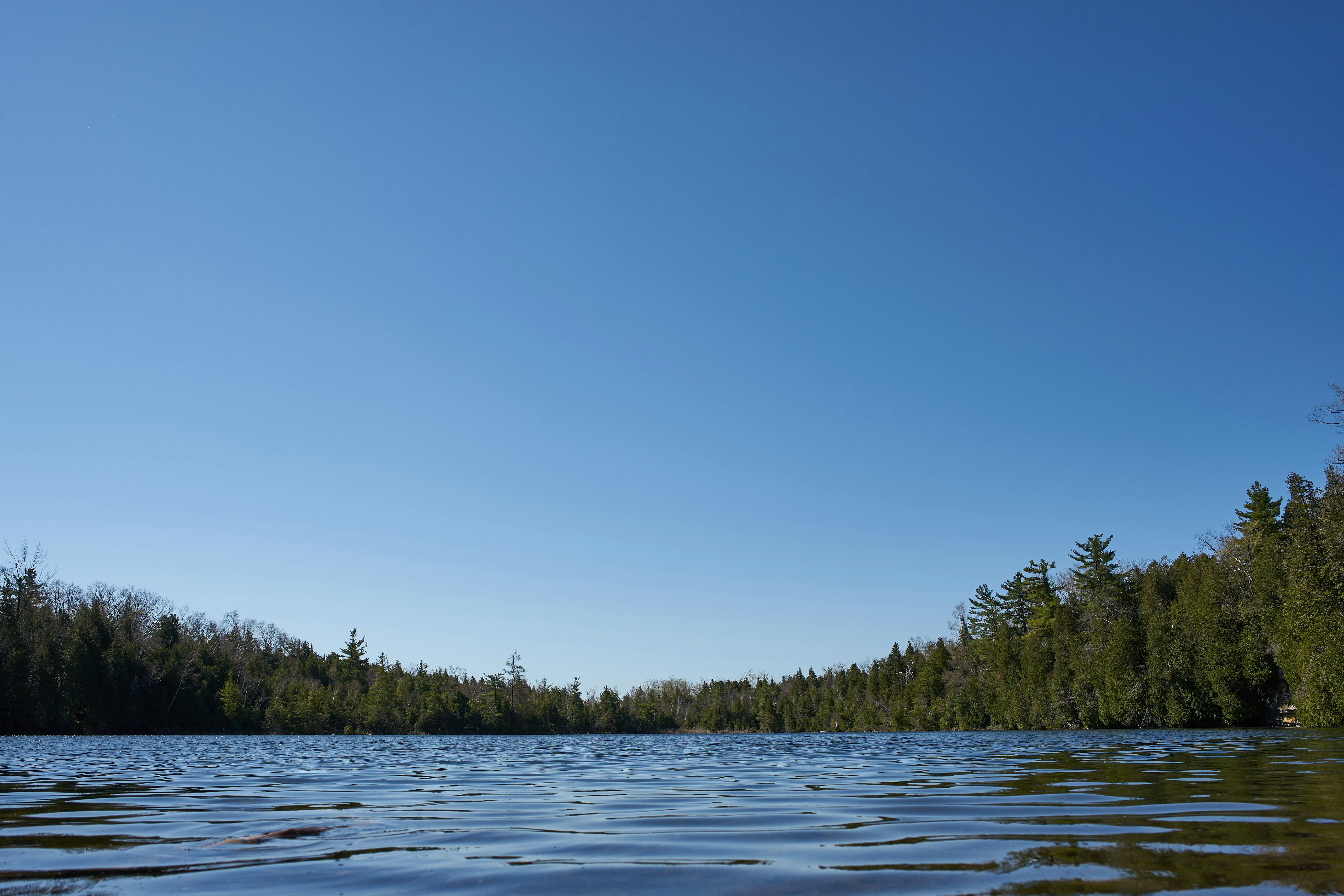 Photo by wolfgang_hasselmann